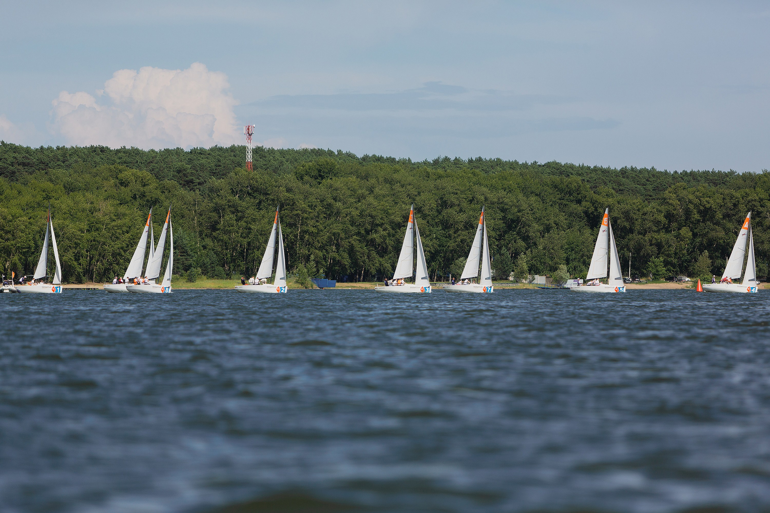 ЯХТИНГ. Roman Photo