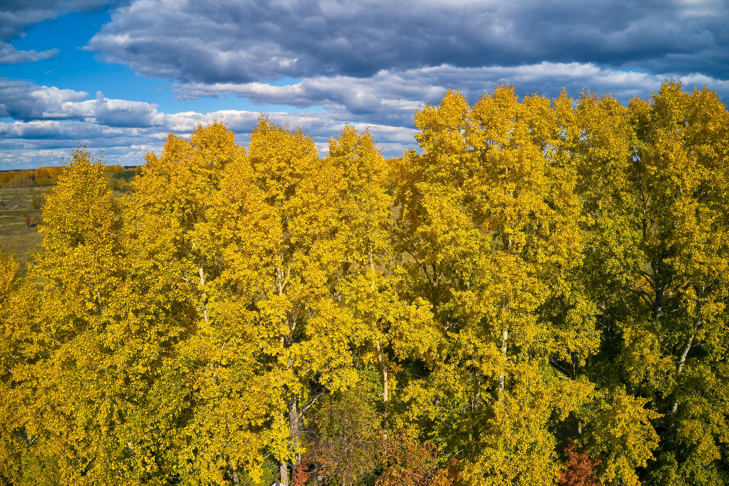 Съемка в полете. DMITRY MOISEENKO — фотограф, художник, топ-стилист
