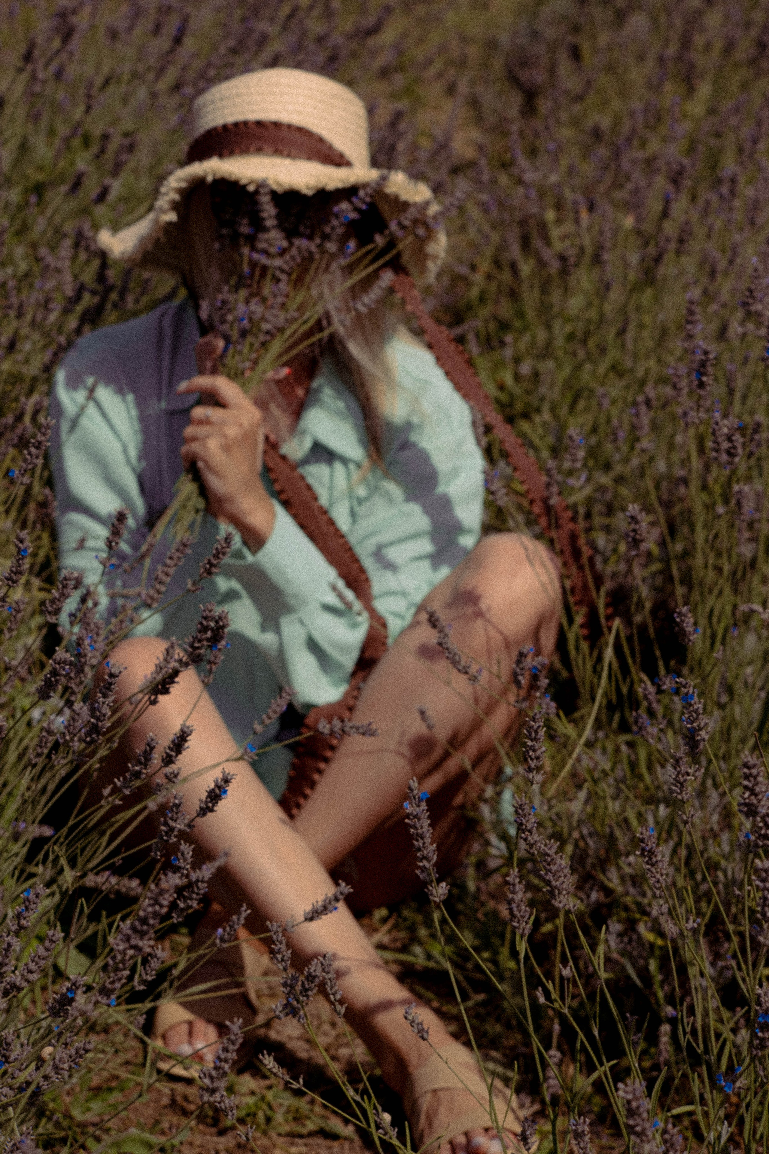 ЛАВАНВОДОВОЕ ПОЛЕ. Профессиональный фотограф, Санкт-Петербург — Виктория Богомолова