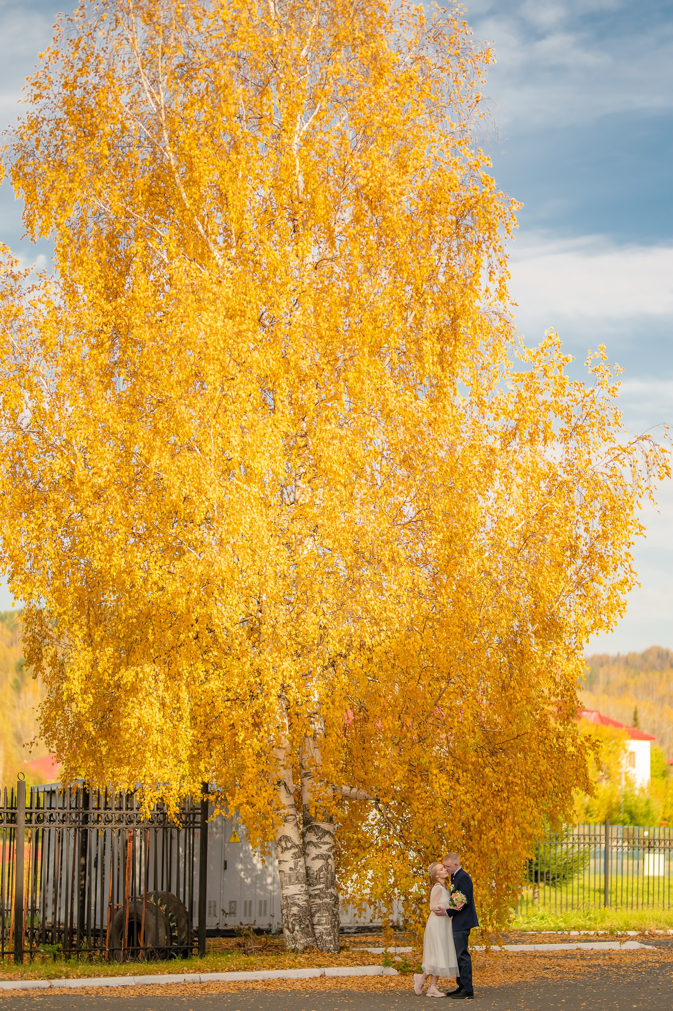 Владимир и Ирина. ProfotoNK