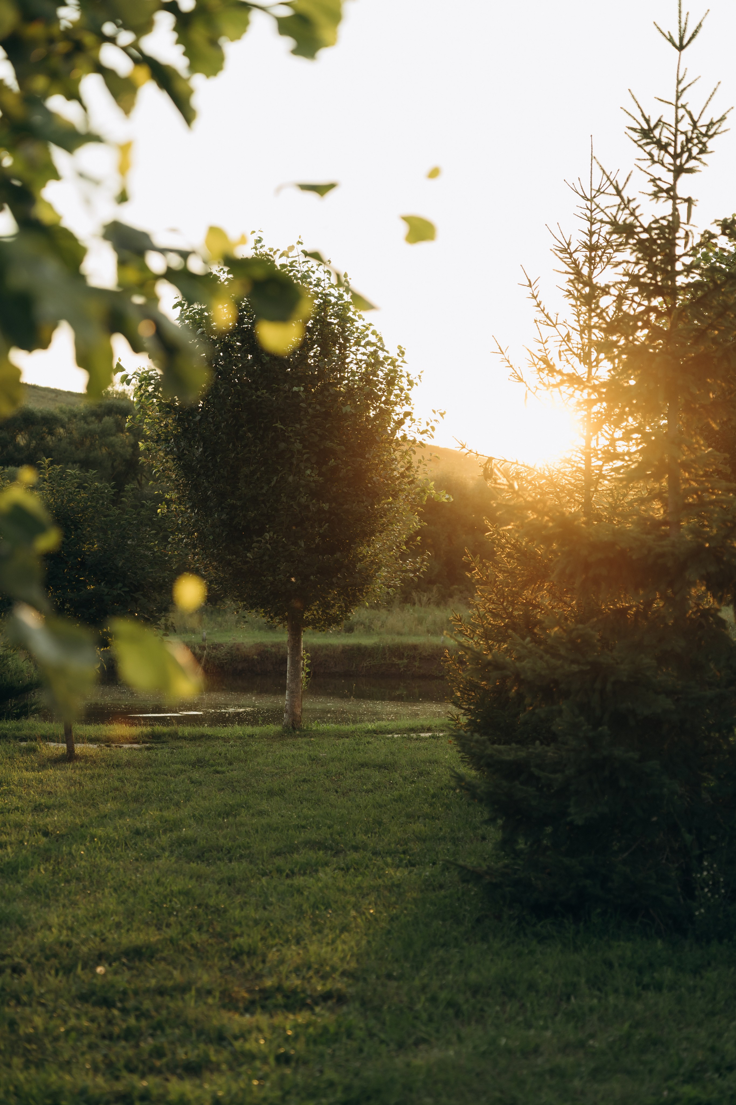 Руслан и Марина. Полный день. Ирина Гонтарева|Фотограф|Белгород