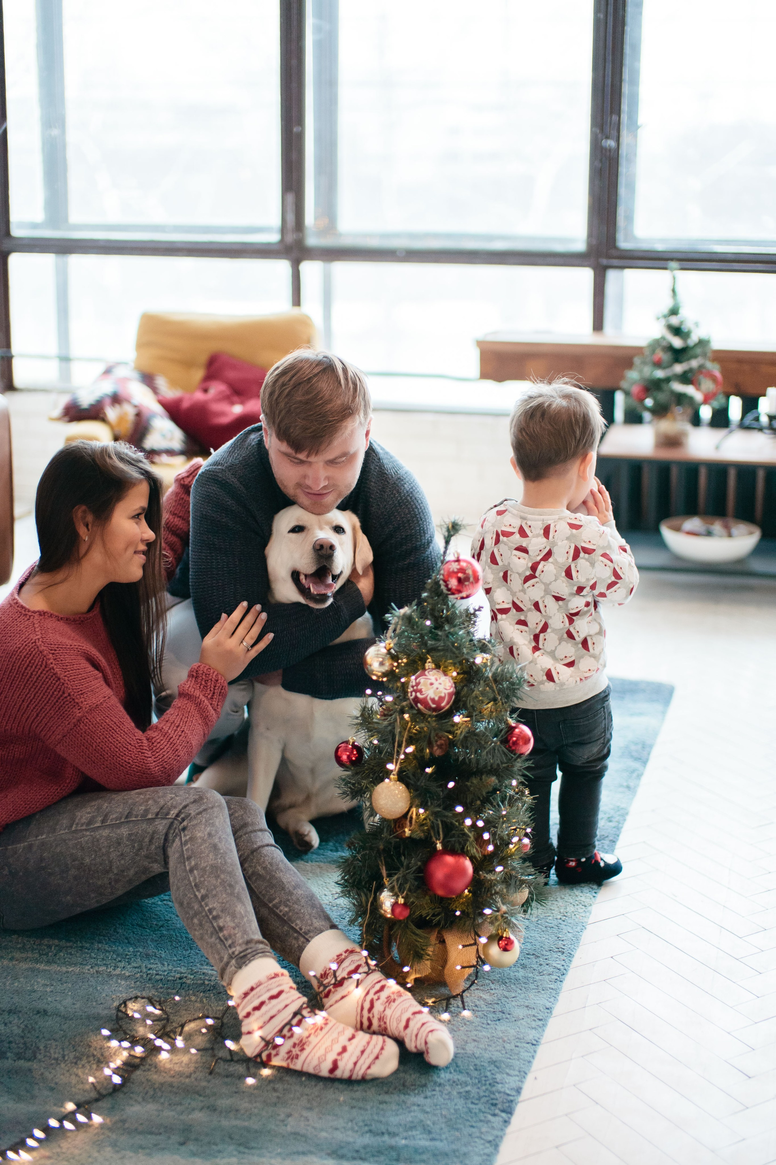 Семейная Новогодняя фотосессия в студии, фотограф в Москве
