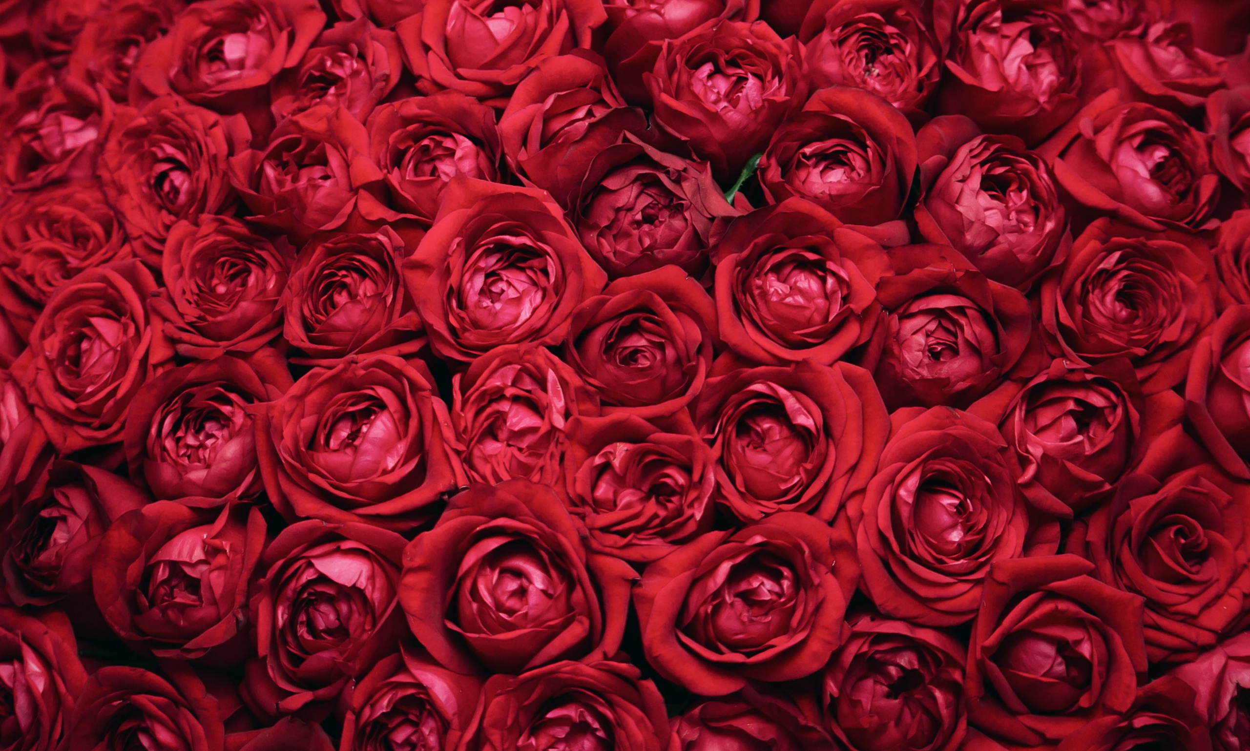 Юбилей Б. Н. Петрова. Татьяна Журавлева