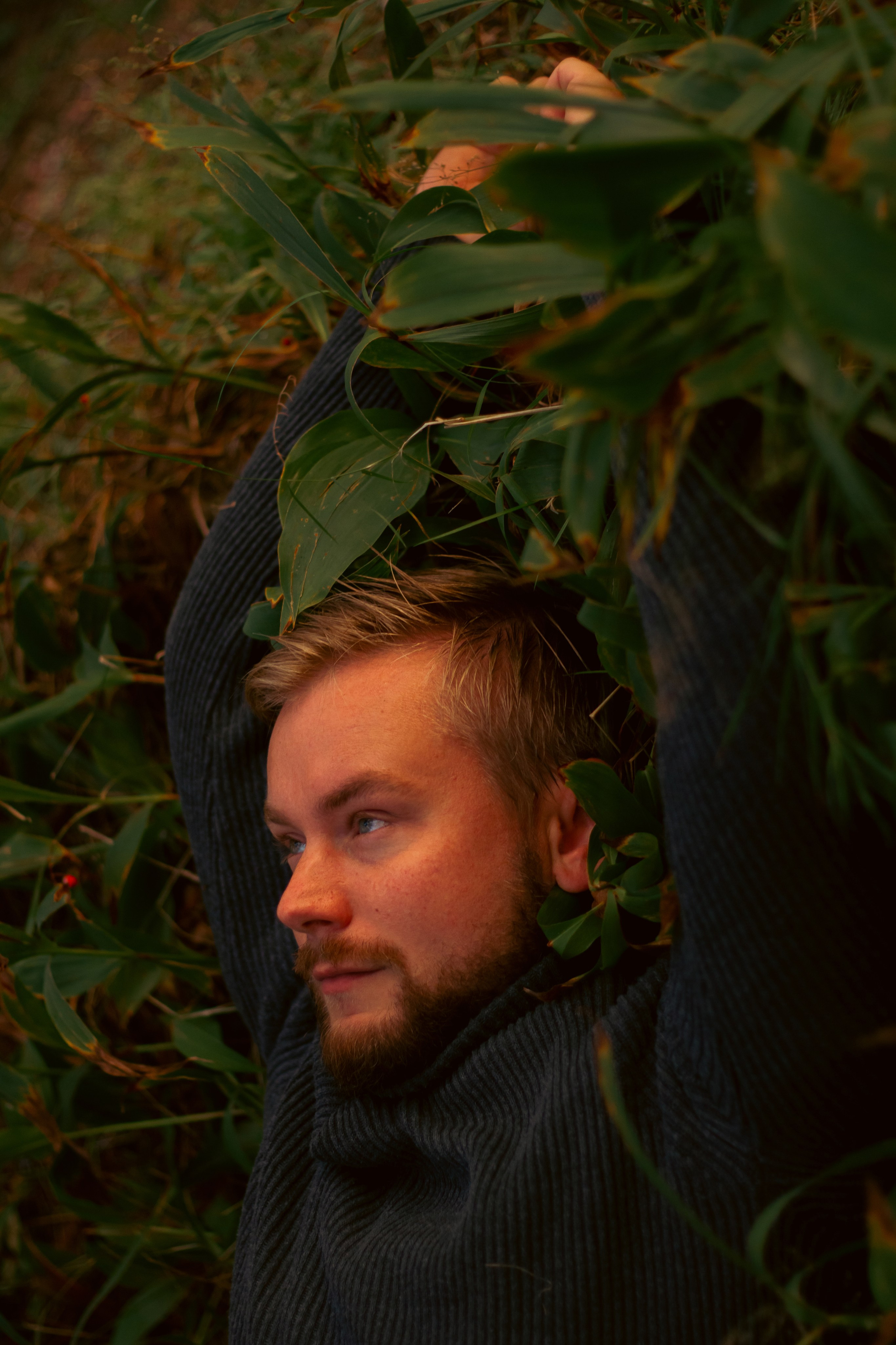 Вадим. Просто свет