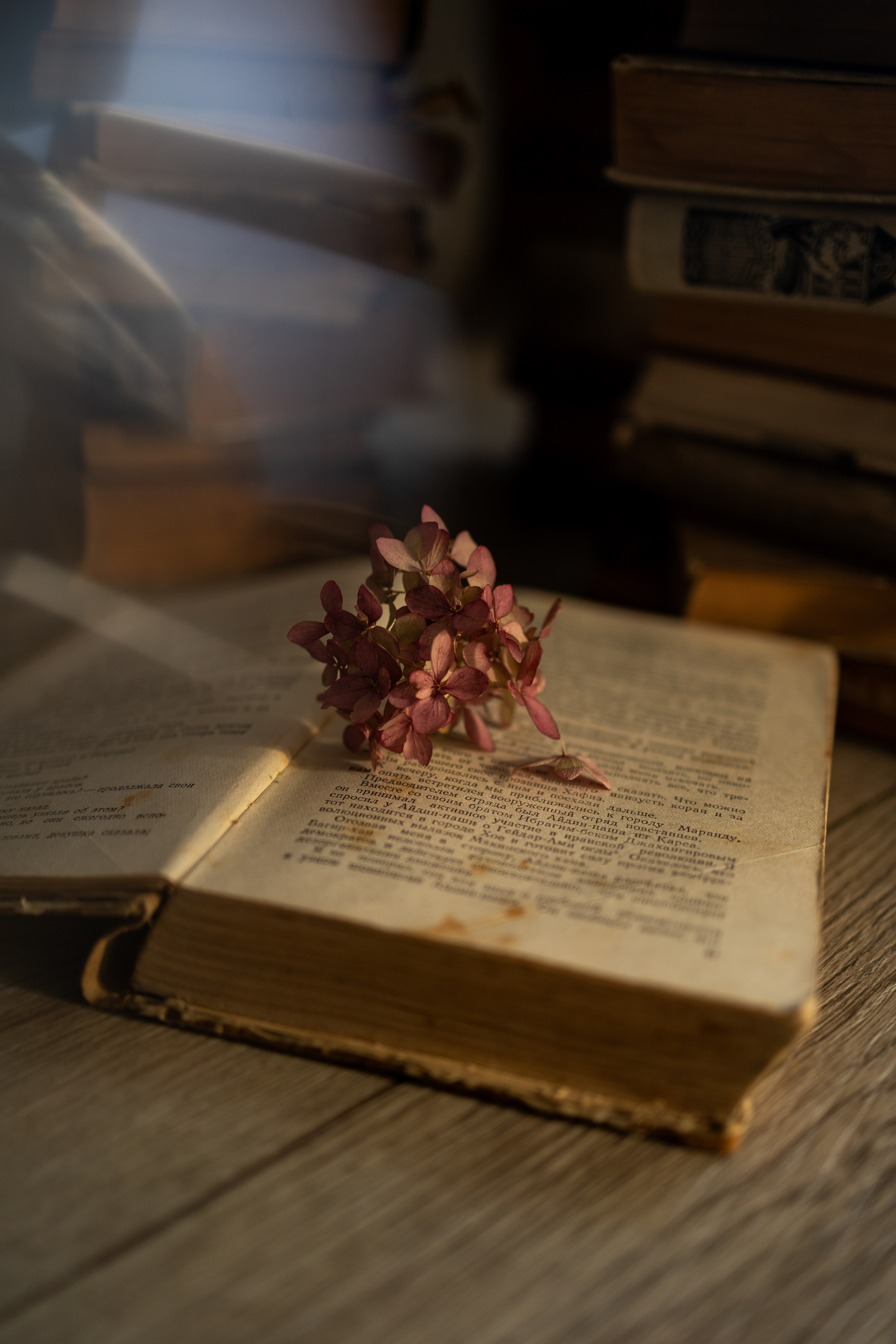 Julia. Portraiture & lifestyle photographer in Dubai/Almaty, Olga Chernyak