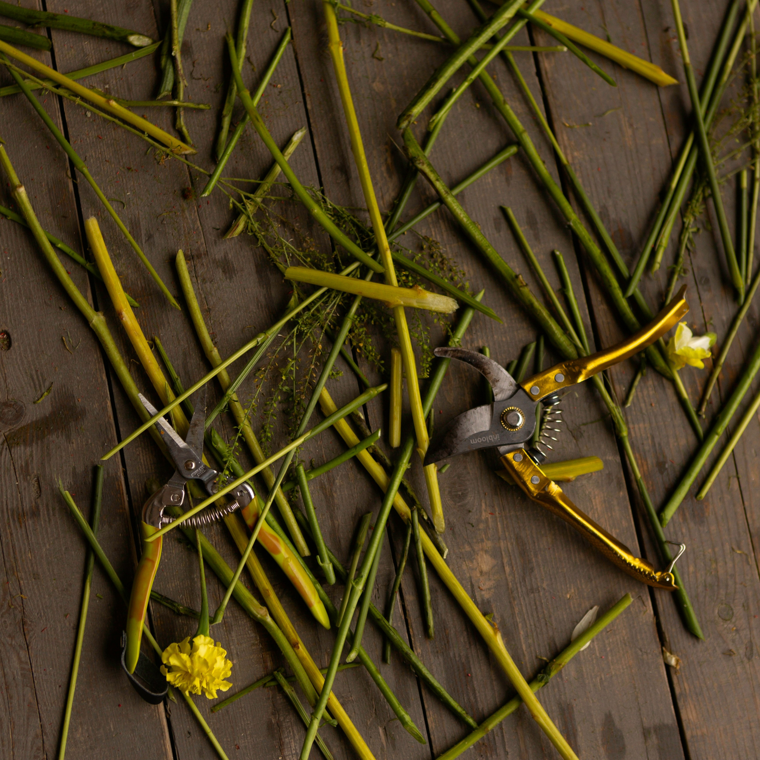 Я глаза твои видел и горы. Фотограф @alexandradmitrievaph