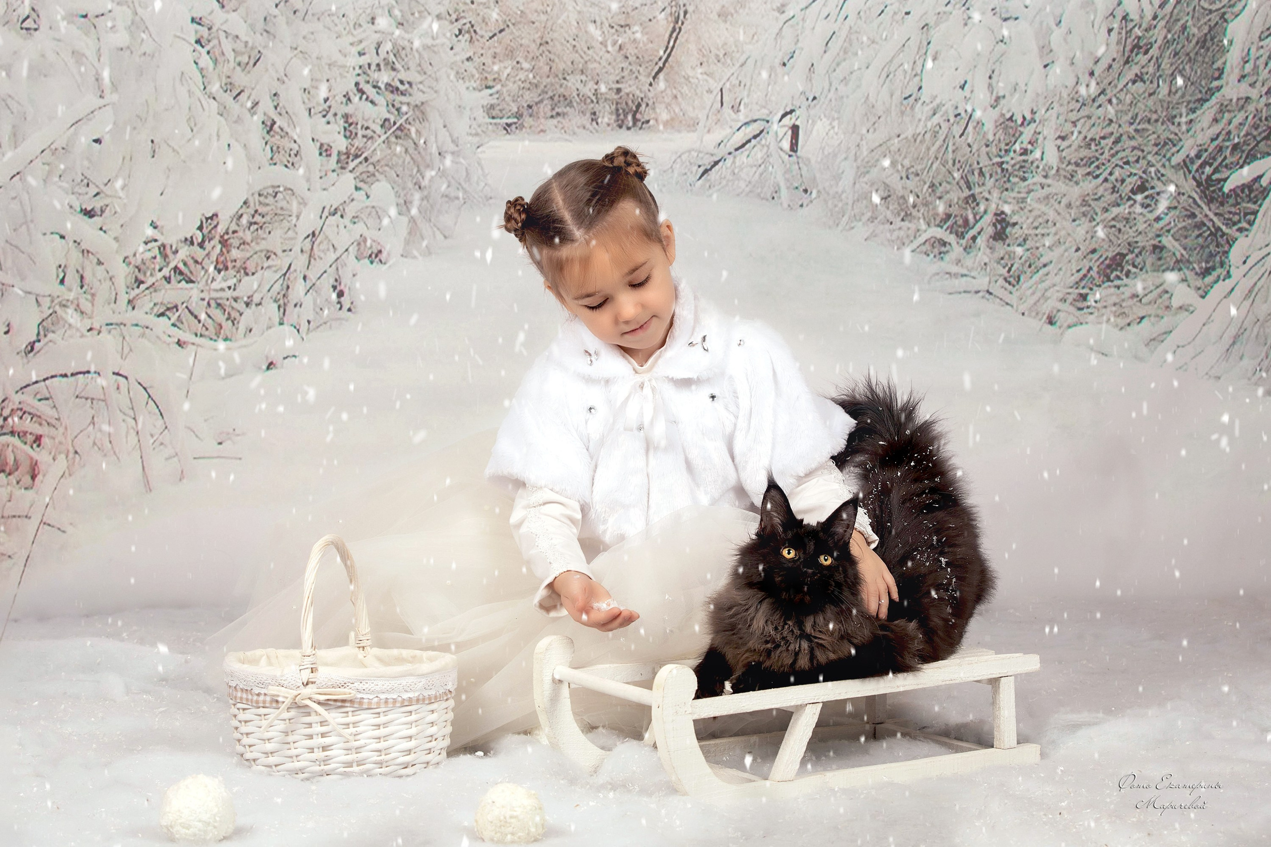 Тематические фоны с рисунком. Фотограф-анималист в Омске Екатерина Маричева