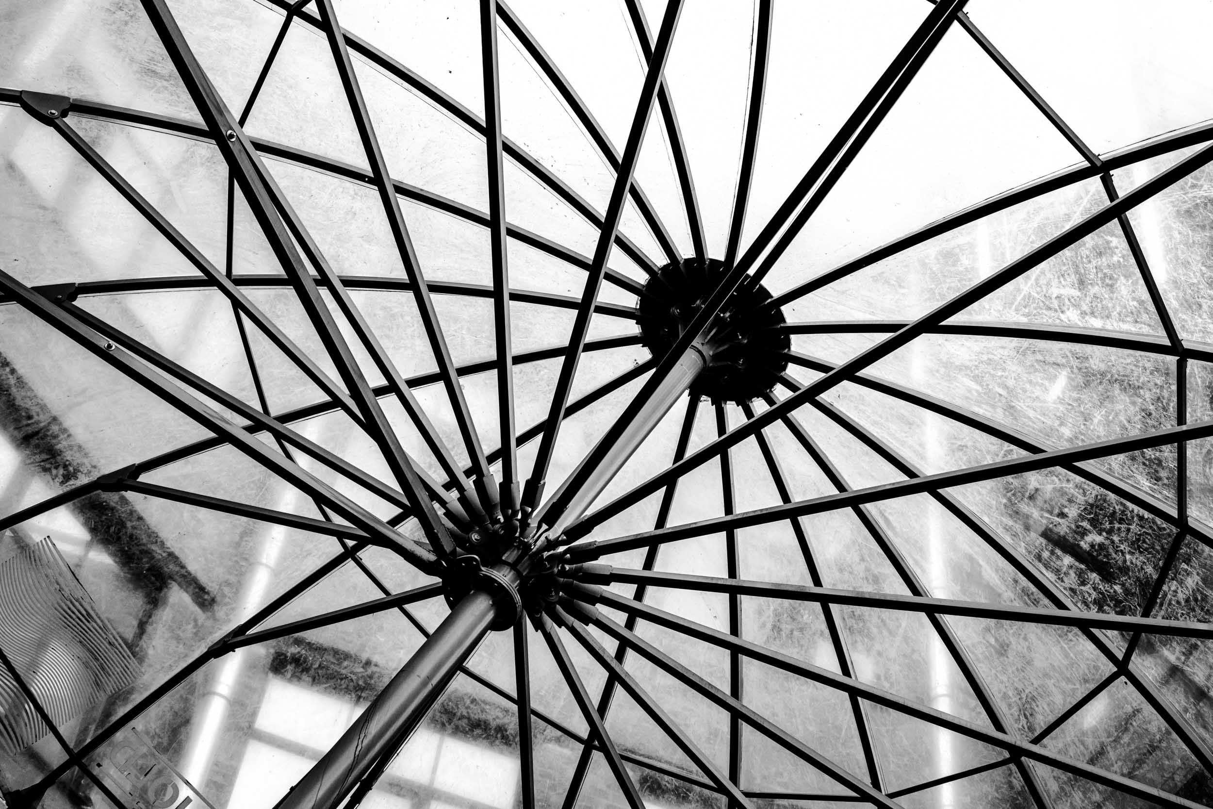 Saint Petersburg. The Andris