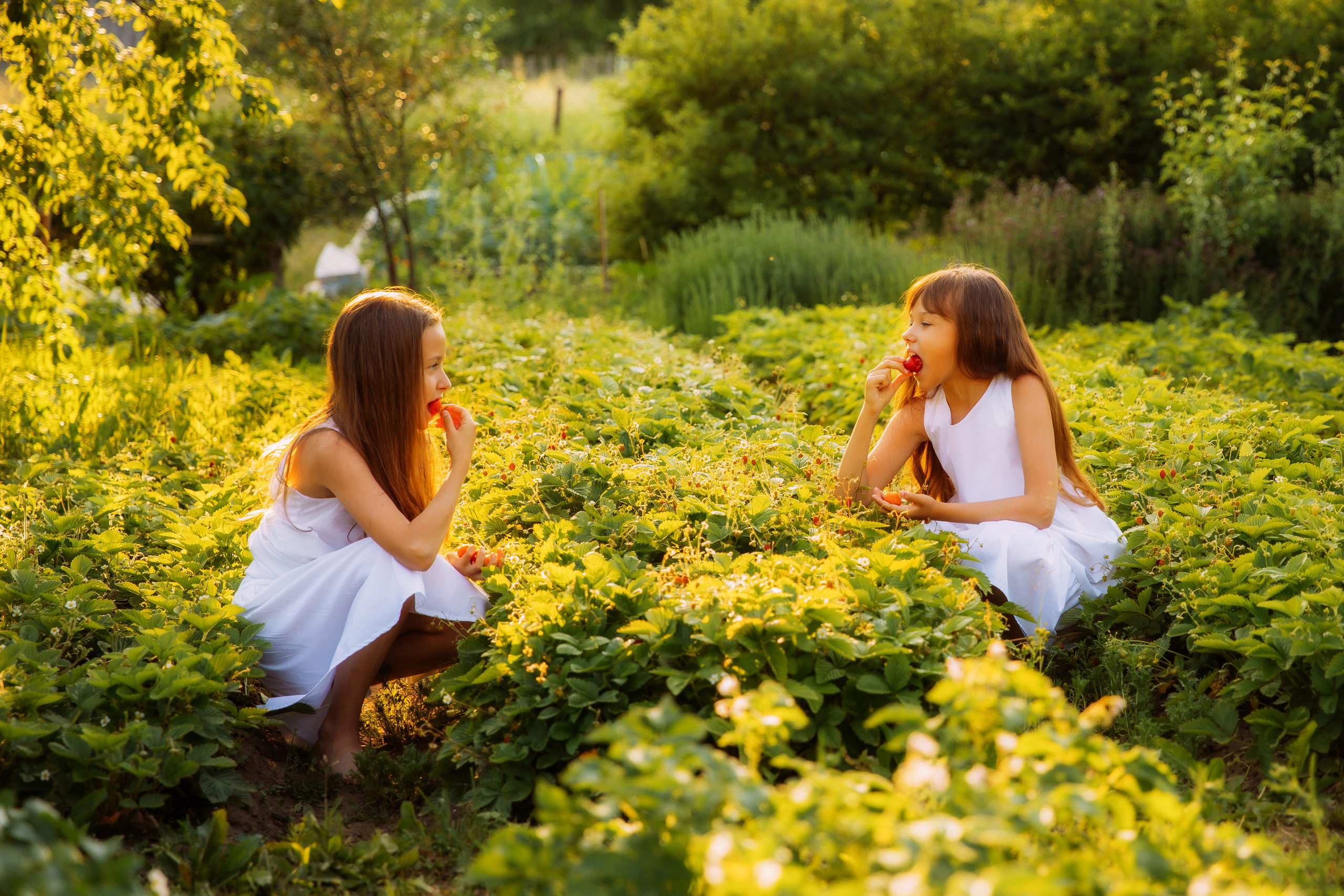 УЮТНАЯ ИСТОРИЯ. Женский и семейный фотограф Елена Петрова