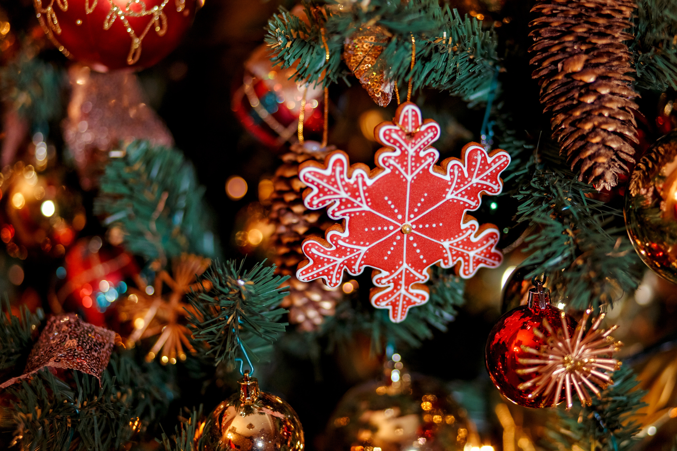 МОЯ НОВОГОДНЯЯ СТУДИЯ. 2018-2025. Женский и семейный фотограф Елена Петрова