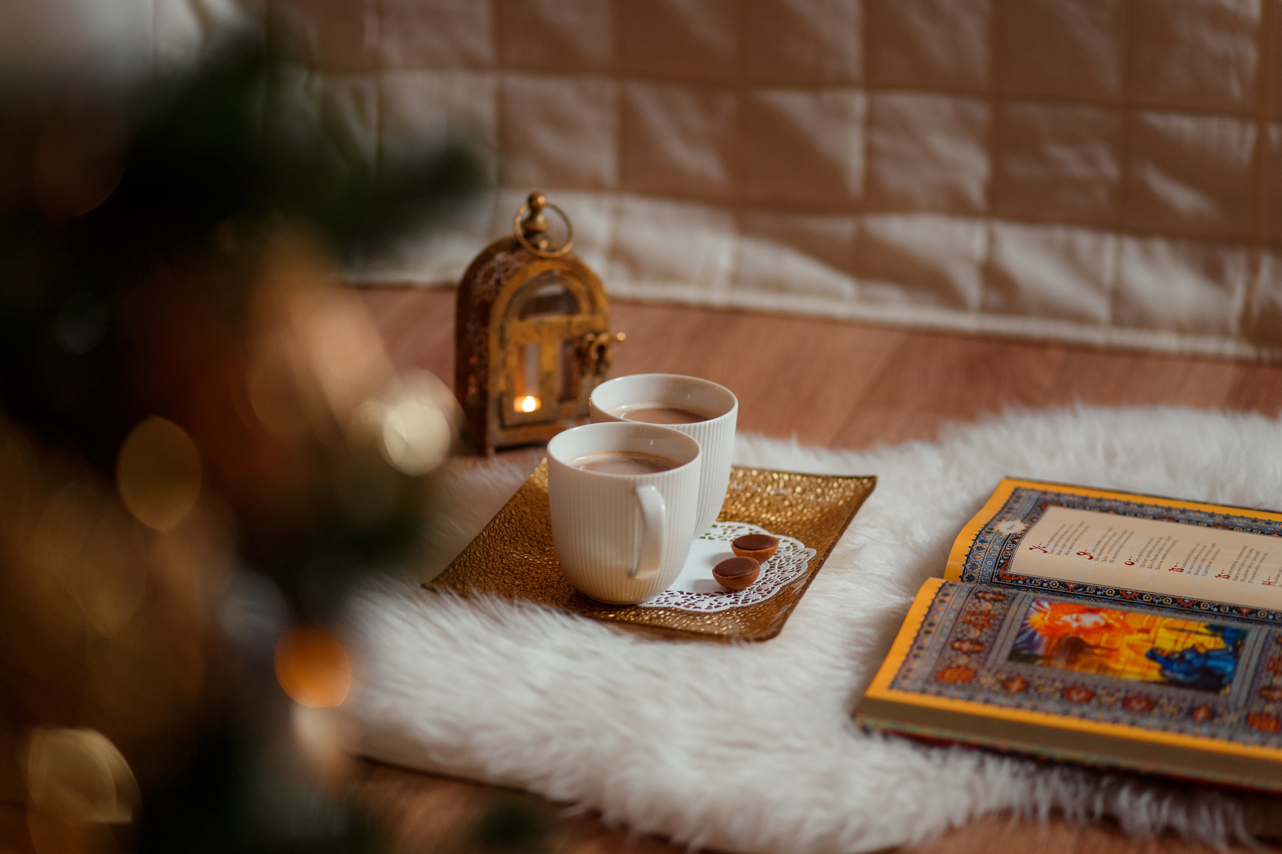 МОЯ НОВОГОДНЯЯ СТУДИЯ. 2018-2025. Женский и семейный фотограф Елена Петрова