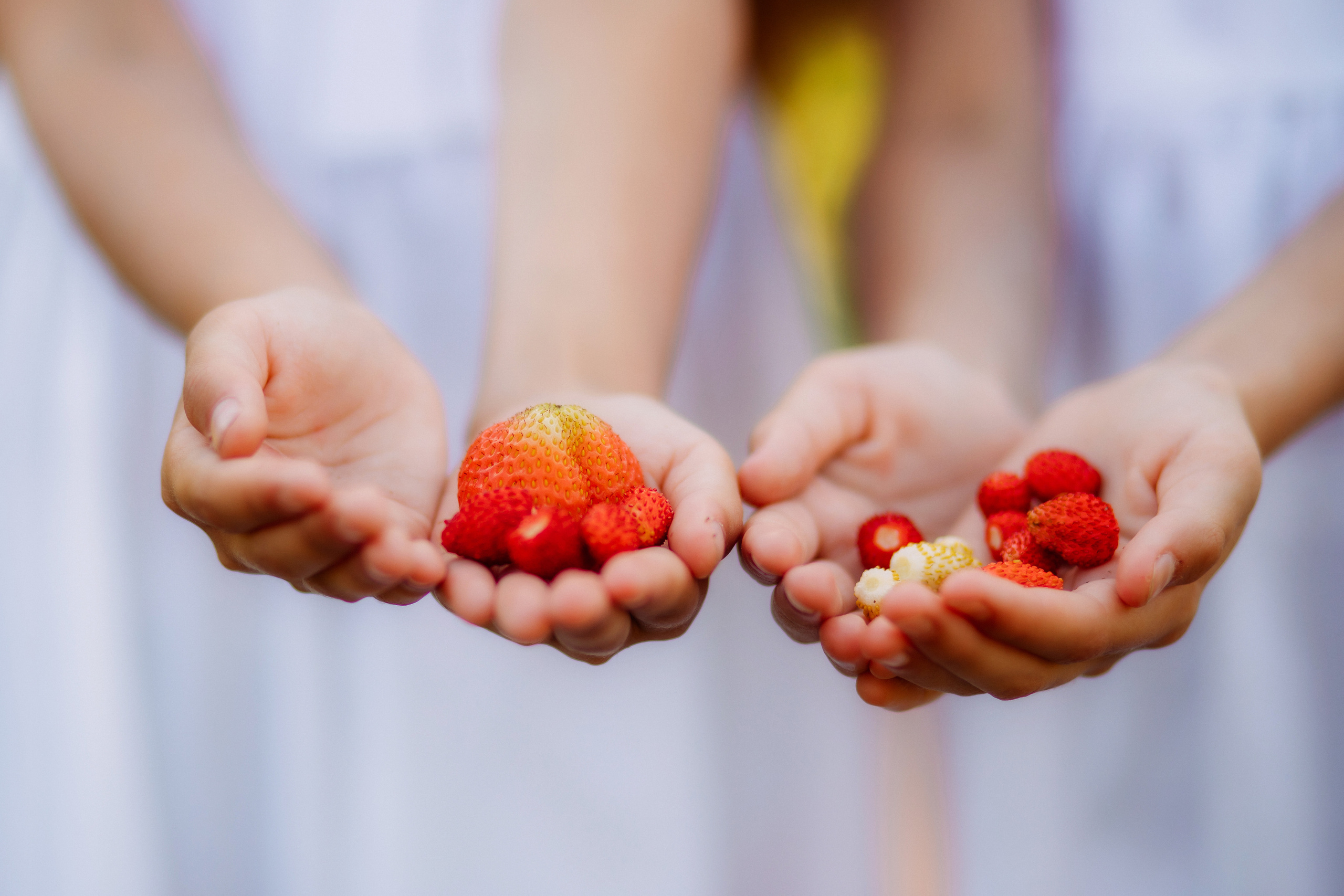 УЮТНАЯ ИСТОРИЯ. Женский и семейный фотограф Елена Петрова
