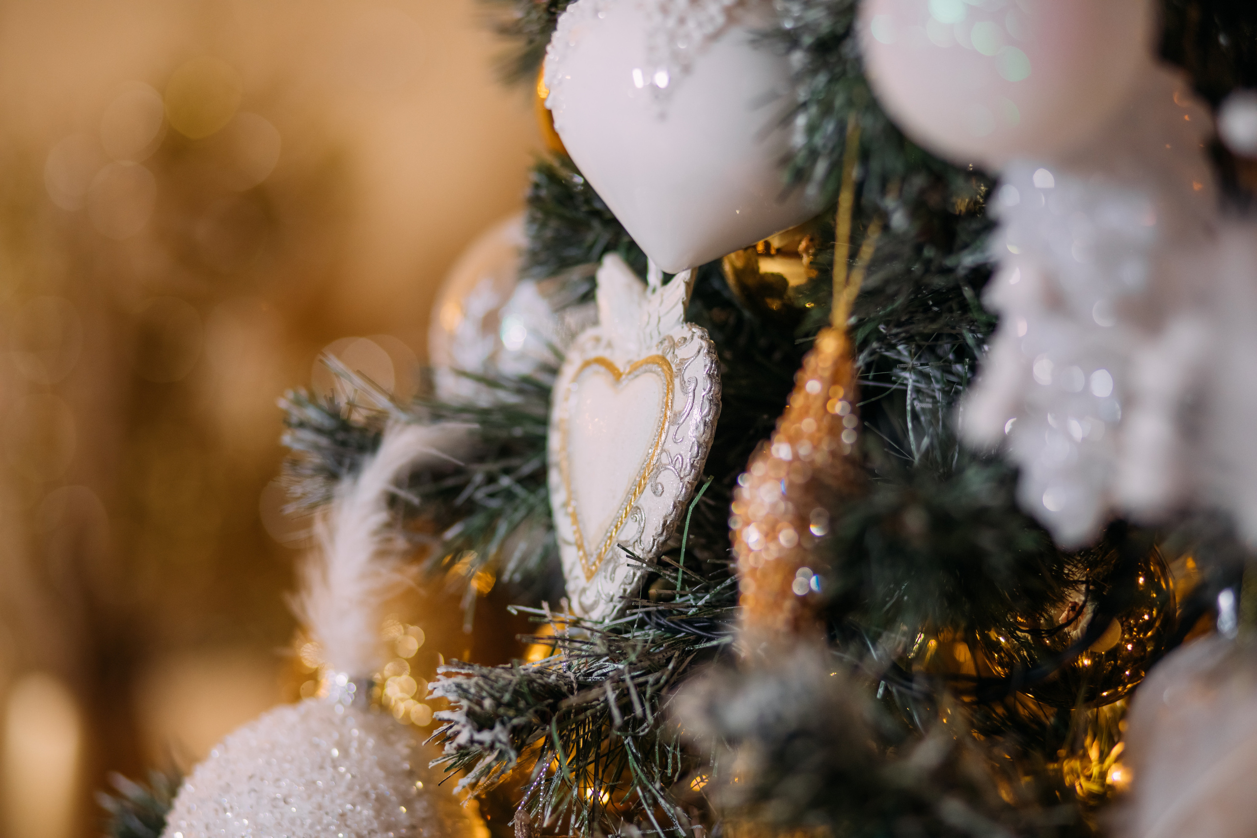 МОЯ НОВОГОДНЯЯ СТУДИЯ. 2018-2025. Женский и семейный фотограф Елена Петрова