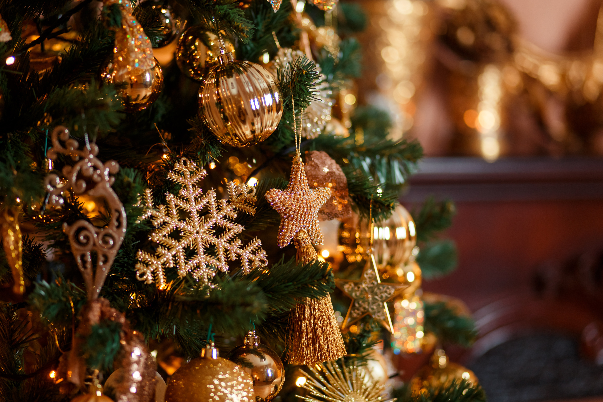 МОЯ НОВОГОДНЯЯ СТУДИЯ. 2018-2025. Женский и семейный фотограф Елена Петрова