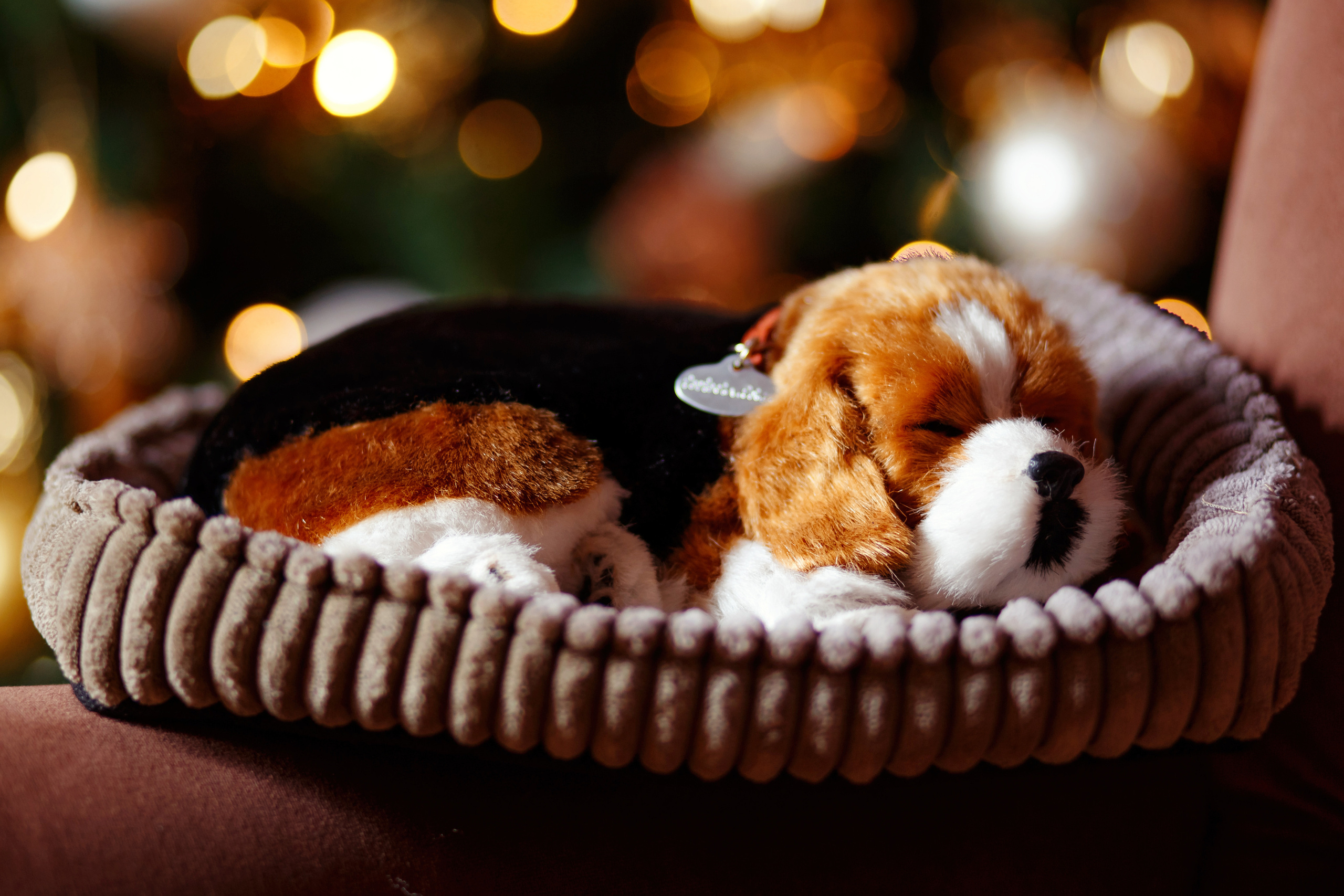 МОЯ НОВОГОДНЯЯ СТУДИЯ. 2018-2025. Женский и семейный фотограф Елена Петрова