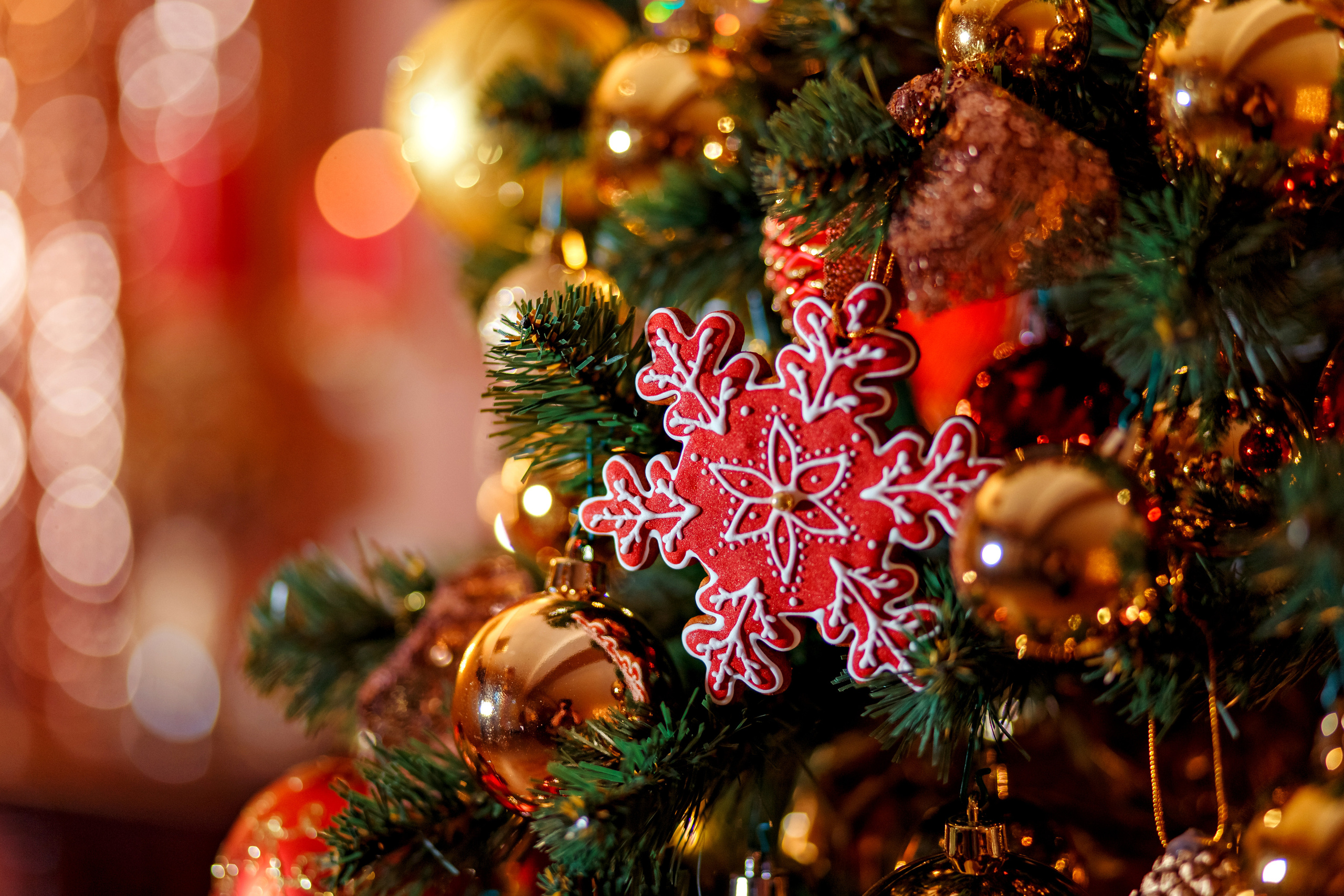 МОЯ НОВОГОДНЯЯ СТУДИЯ. 2018-2025. Женский и семейный фотограф Елена Петрова