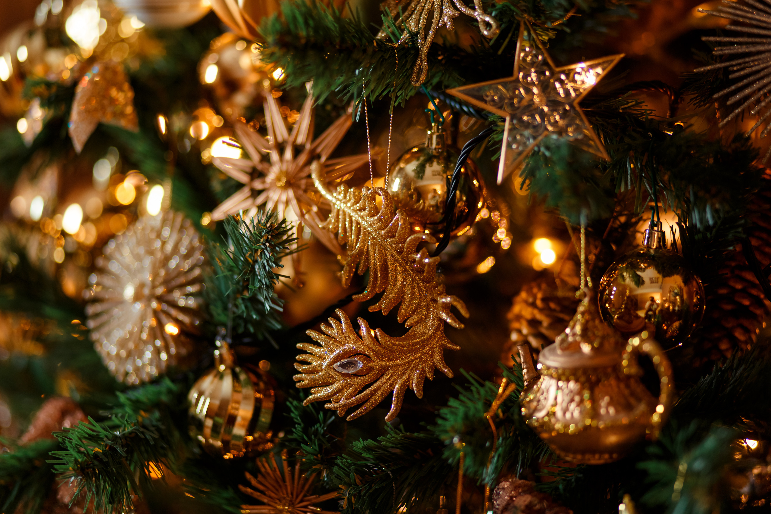 МОЯ НОВОГОДНЯЯ СТУДИЯ. 2018-2025. Женский и семейный фотограф Елена Петрова