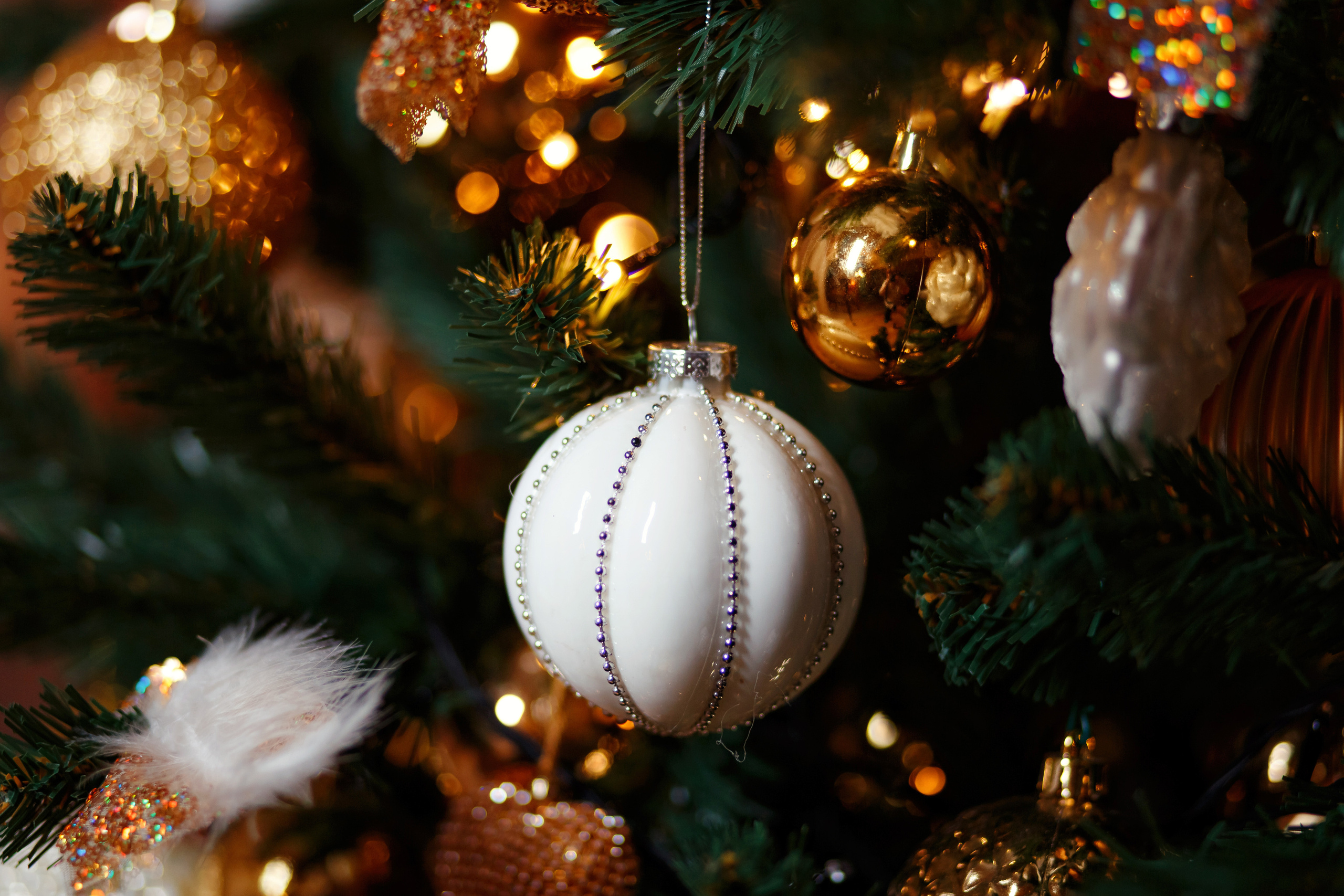 МОЯ НОВОГОДНЯЯ СТУДИЯ. 2018-2025. Женский и семейный фотограф Елена Петрова