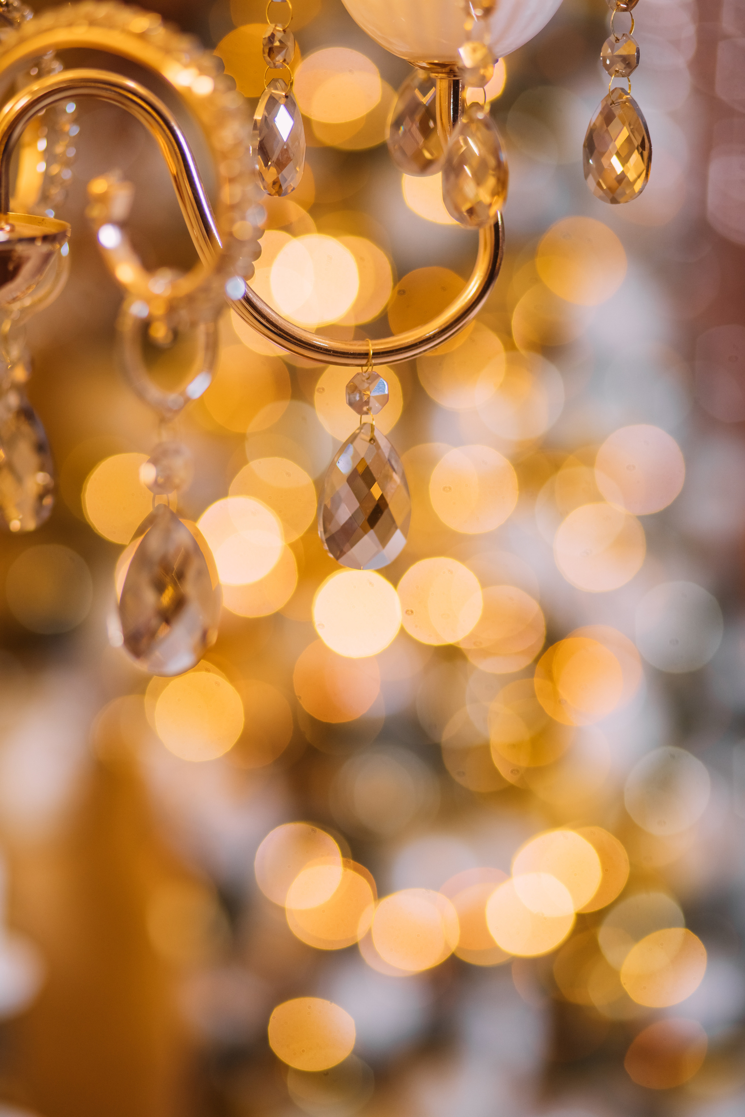 МОЯ НОВОГОДНЯЯ СТУДИЯ. 2018-2025. Женский и семейный фотограф Елена Петрова