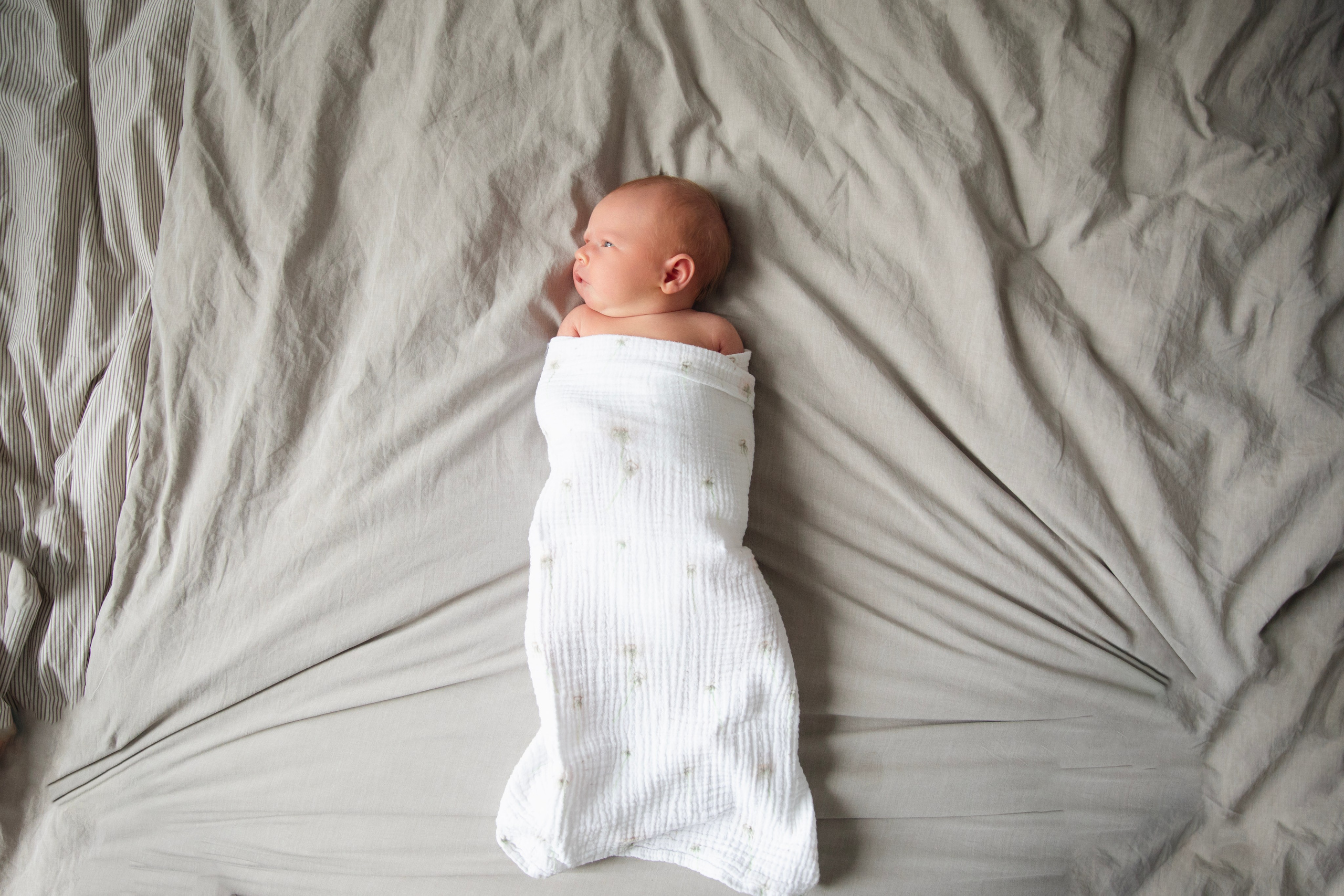 «Фотографии в стиле „Лайф“» «домашние съемки». Фотограф новорожденных, детский фотограф  Москва.Семейная съемка Москва. Семенова Анна