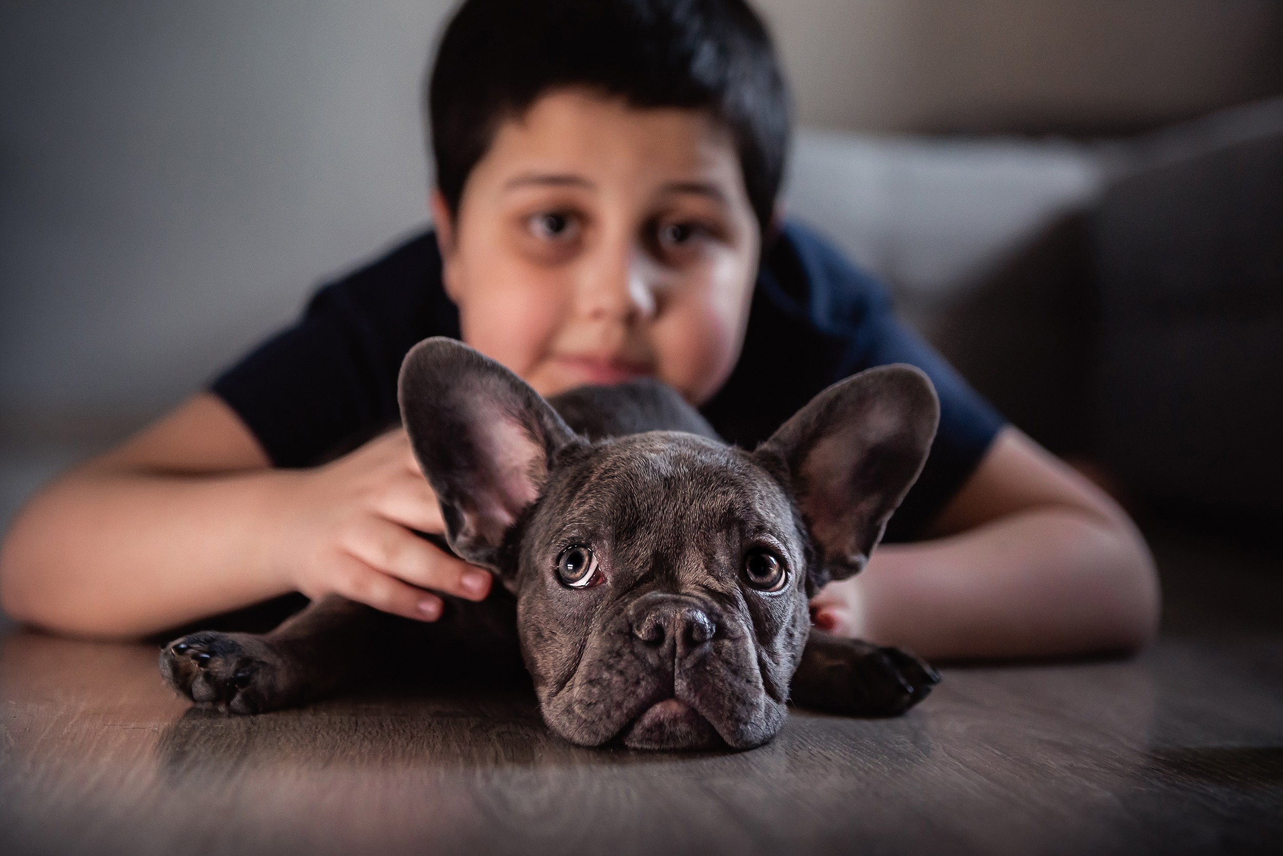 Бульдоги и компания. Семейный Фотограф в Москве Ирина Хохлова