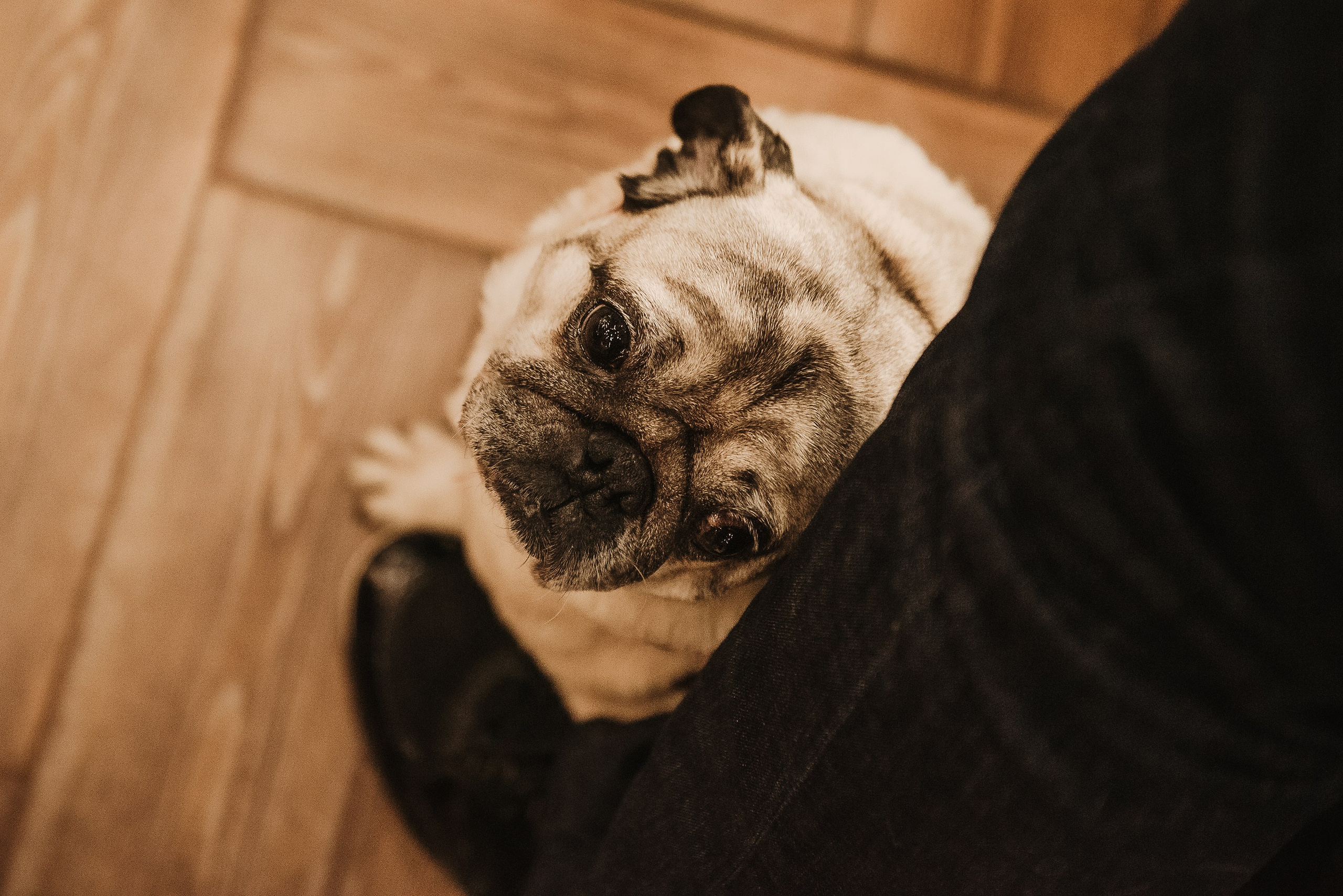 Ольга и Потапум. Прогулка к чайному дому. Семейный Фотограф в Москве Ирина Хохлова