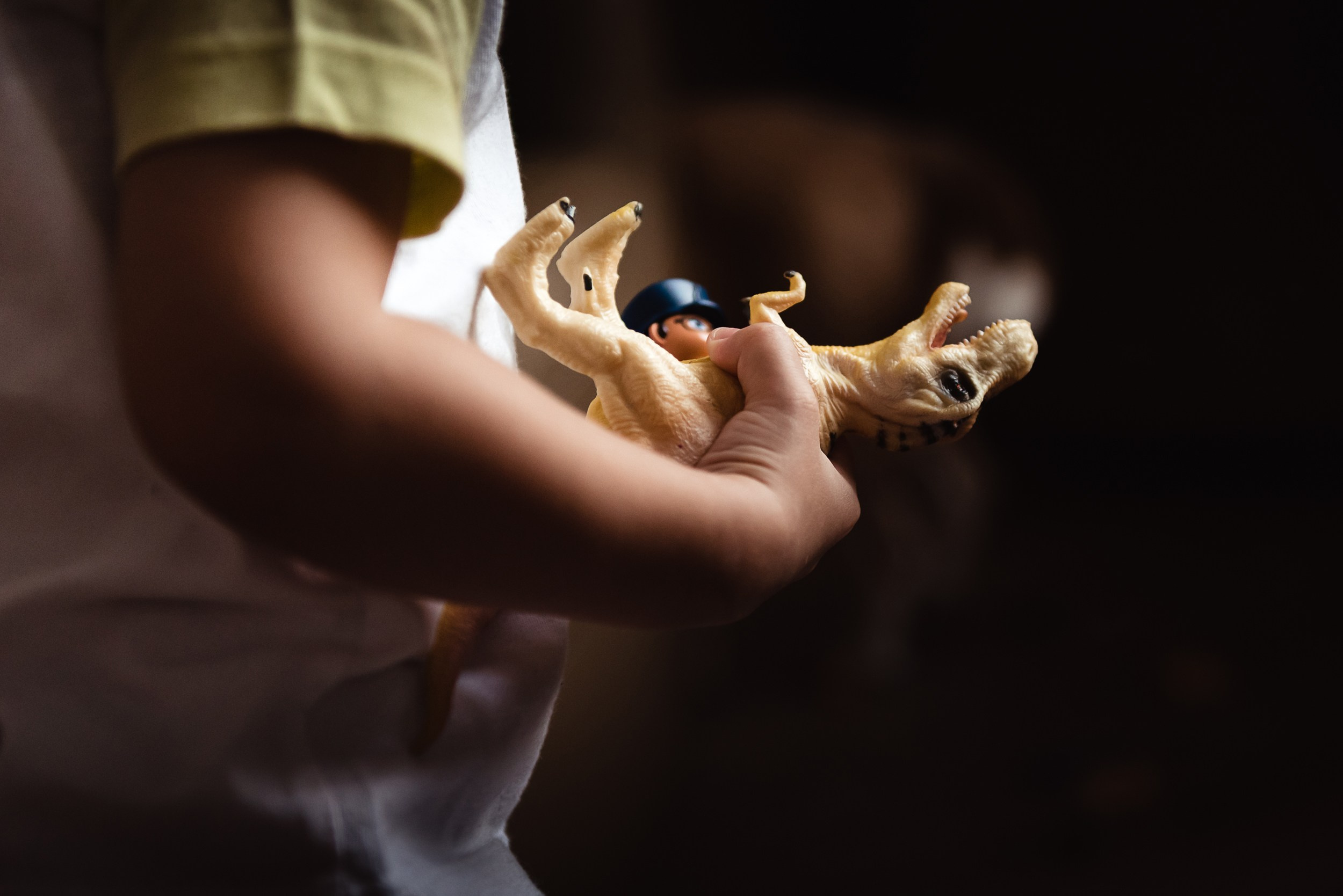 Оля, бигли и семья. Семейный Фотограф в Москве Ирина Хохлова