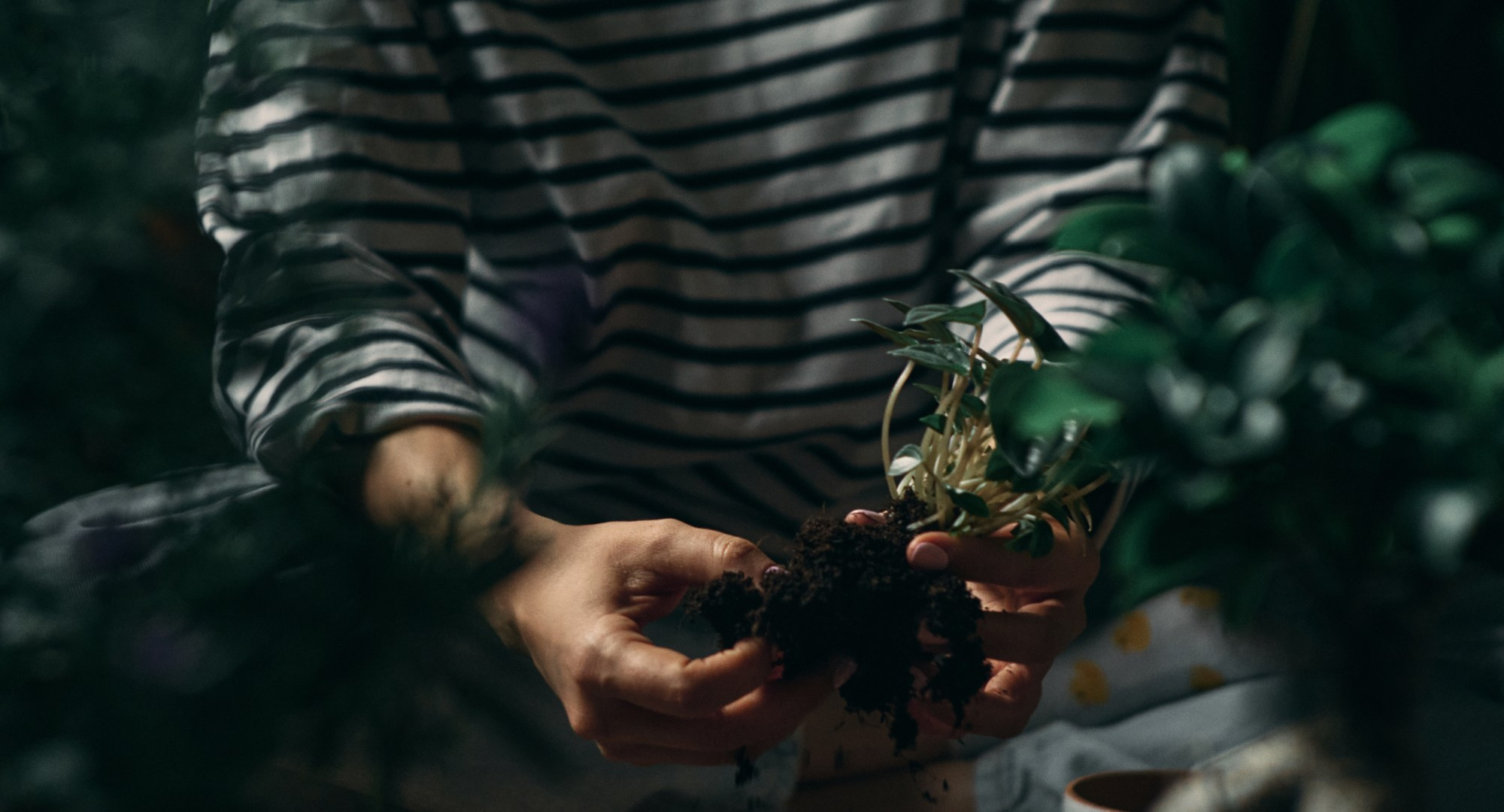 Бизнес — контент. Артём Кузнецов, фотограф, Новосибирск