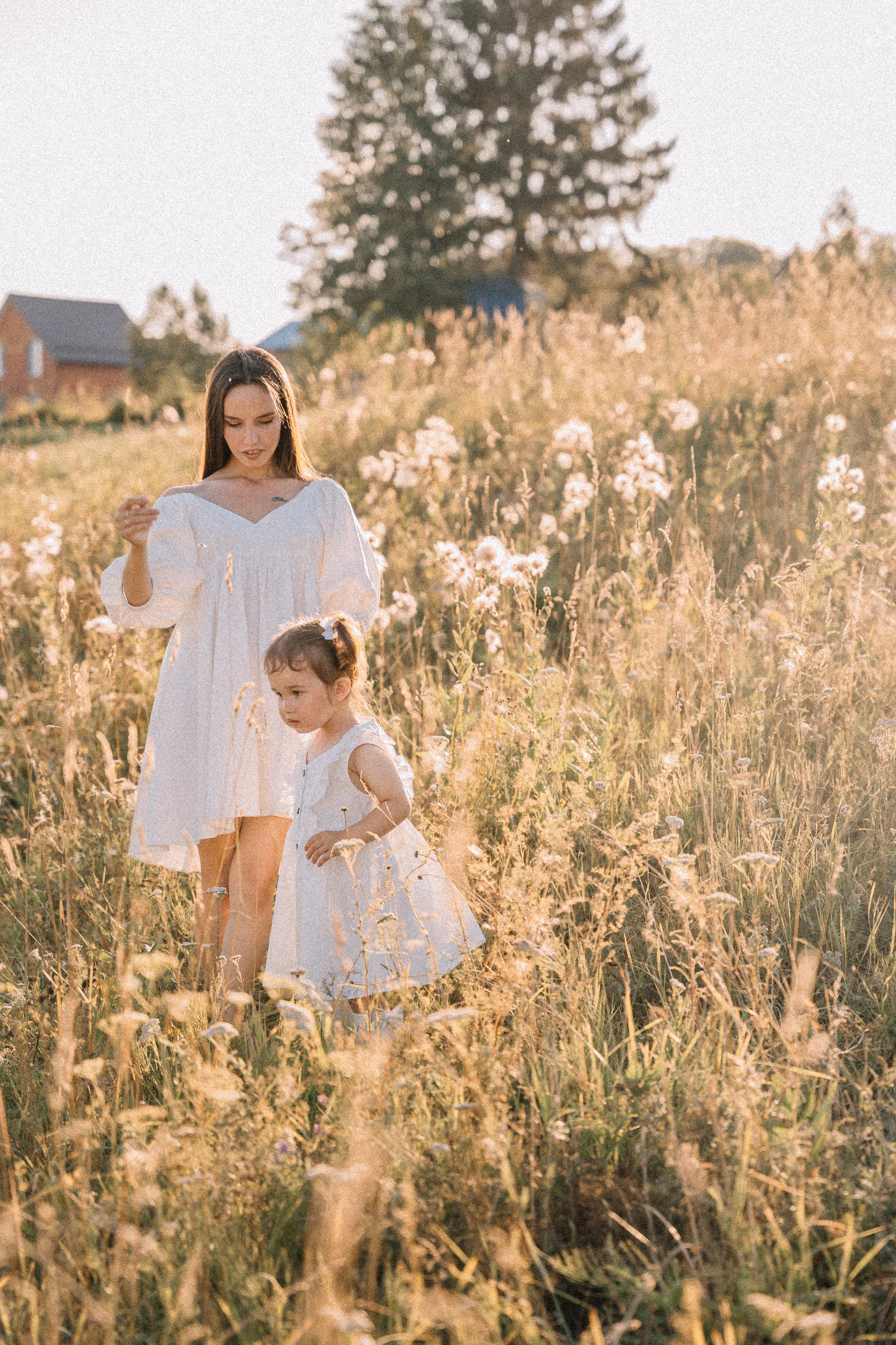 Солнце.Закат.Поле