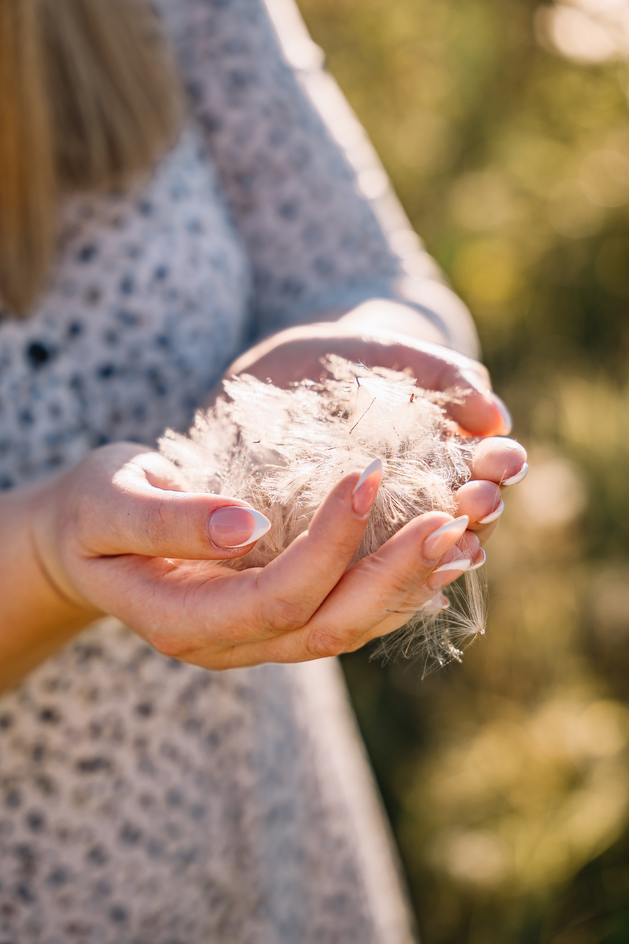 Гуси лебеди