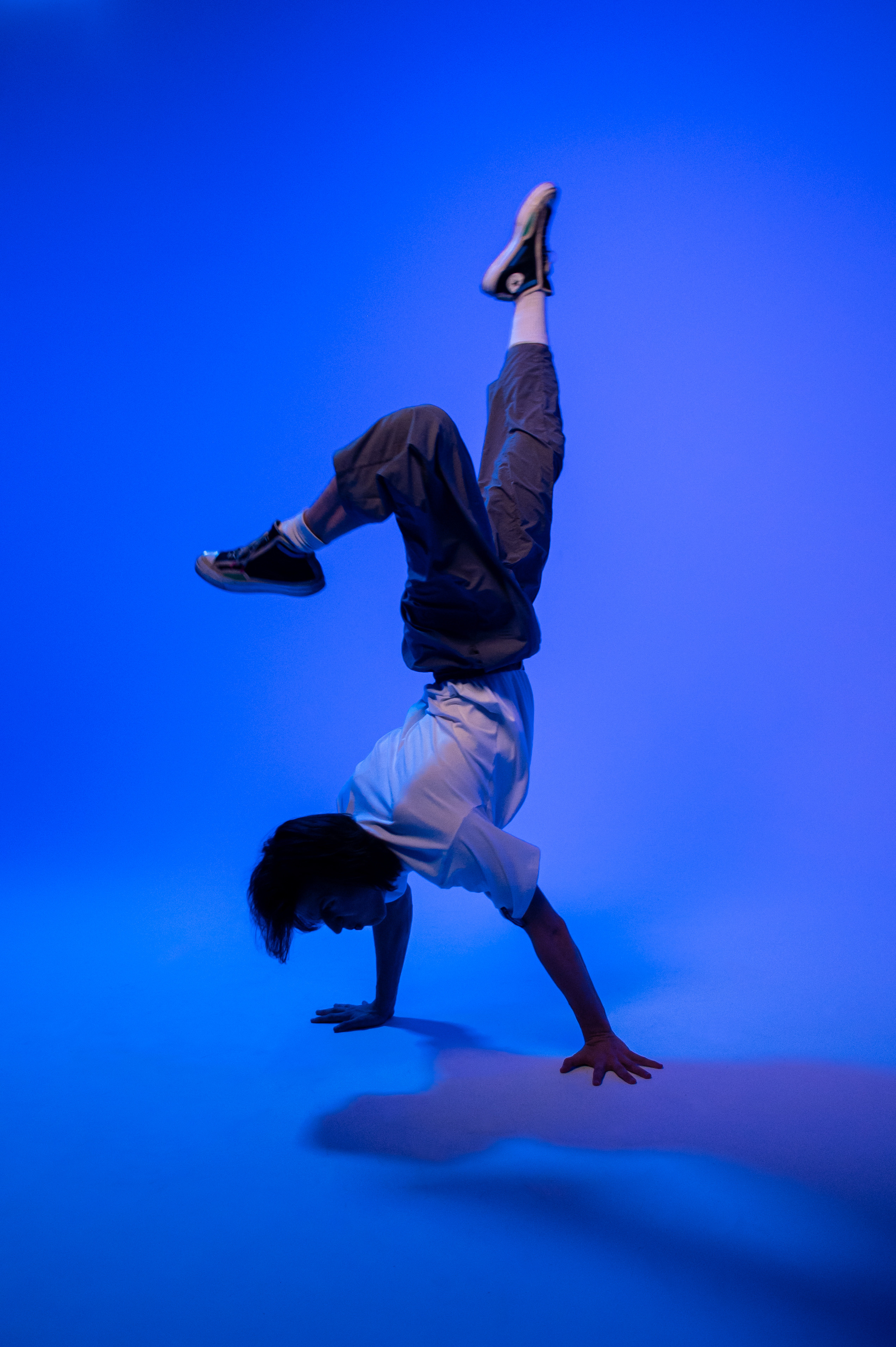 Danbo. Elizaveta Filchenko. Fashion-photographer and director