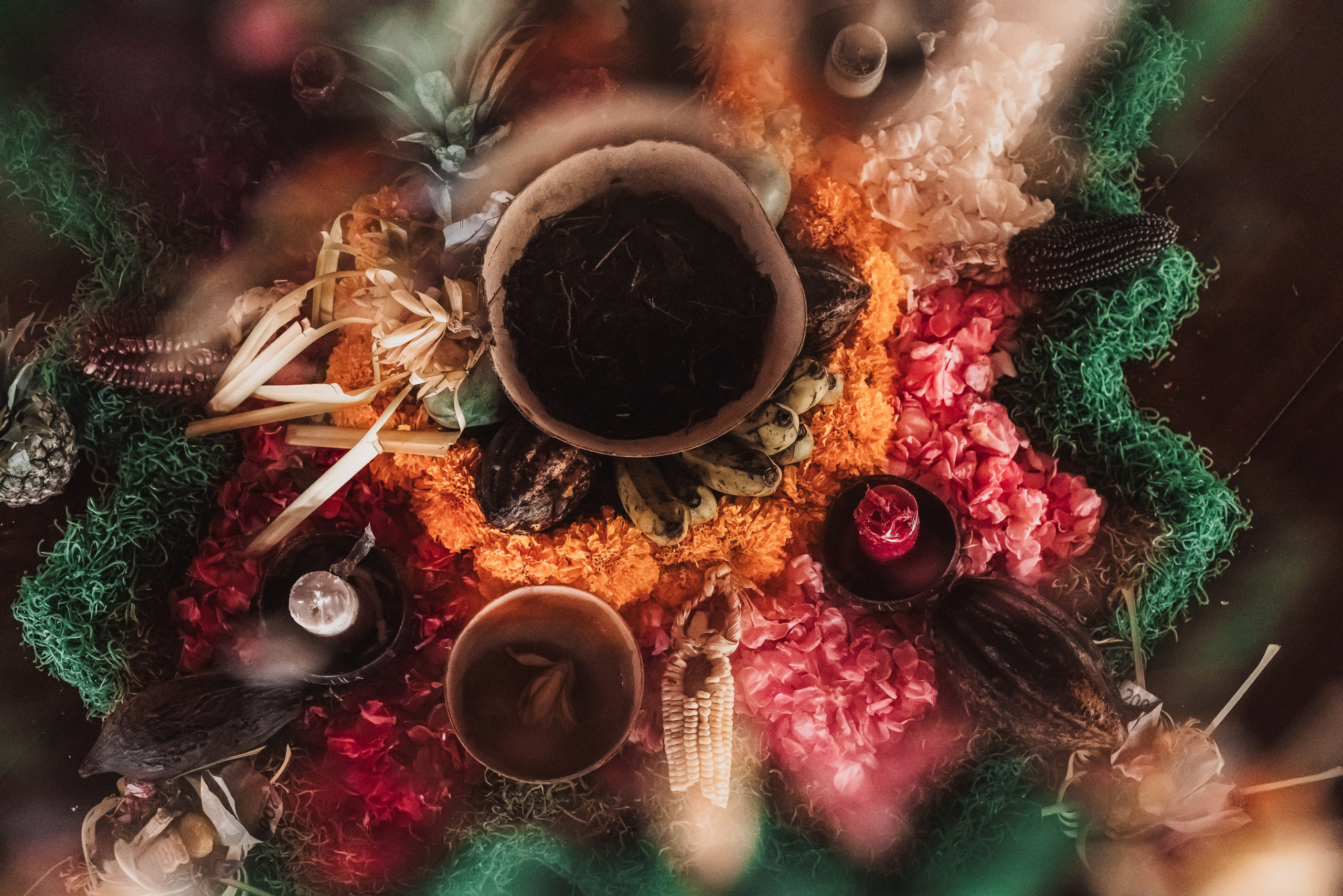 Cacao alchemy w Juan. Мариам Багдасарян