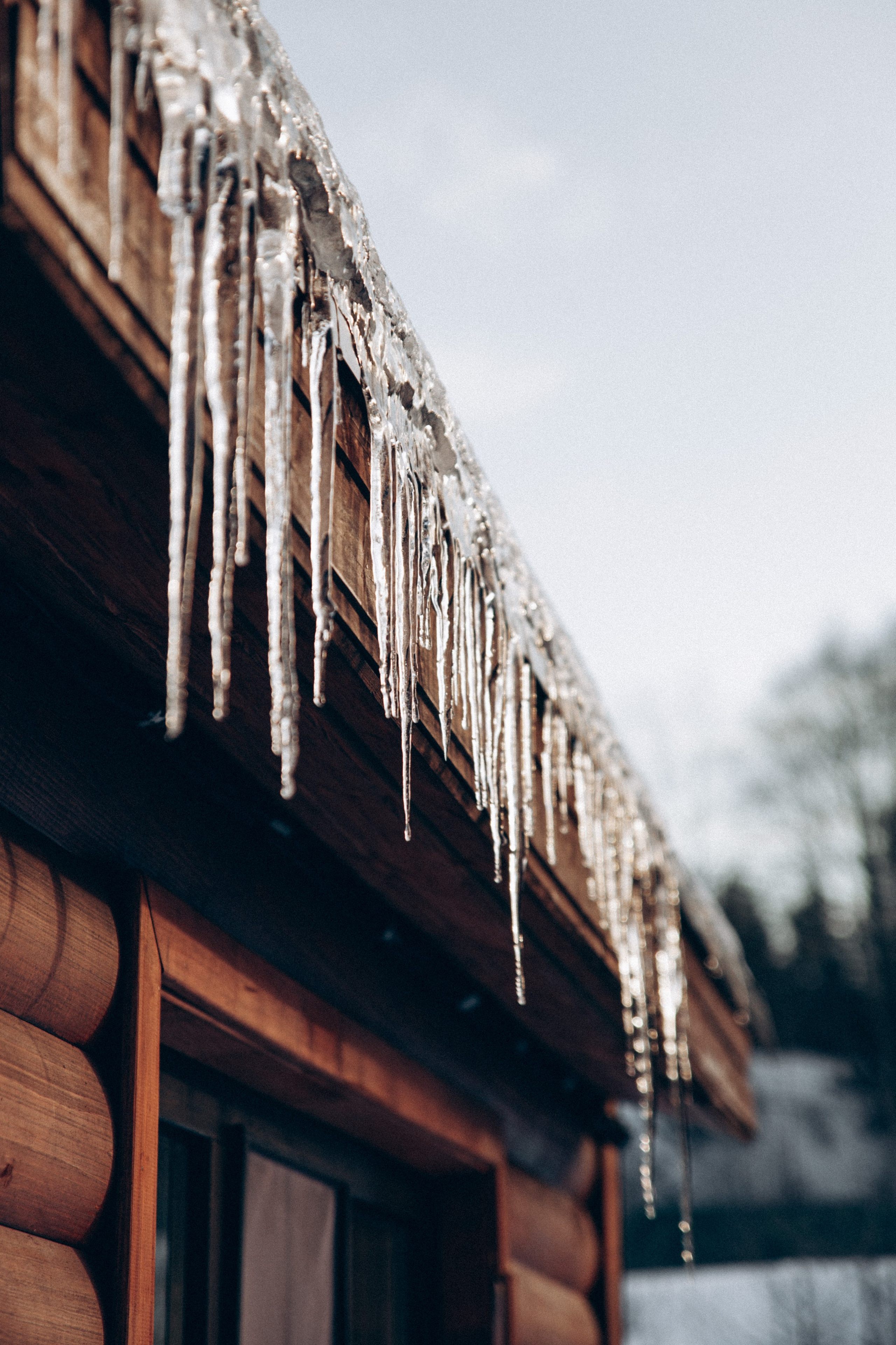 Териберка 2025. Репортажный и детский фотограф в Минске