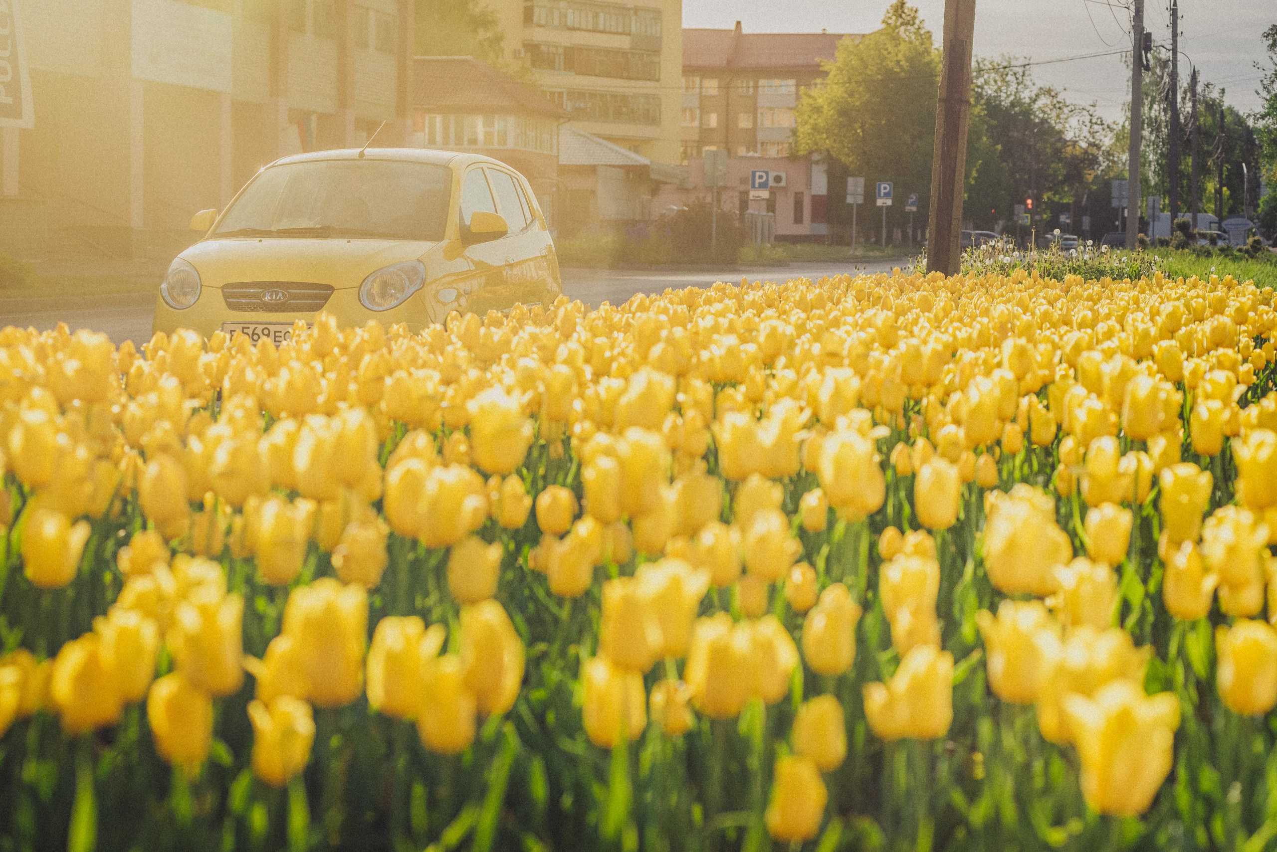 Проект #улицыгорода. Ярославль, ул. Лисицина. Документальный фотограф Илья Тихановский