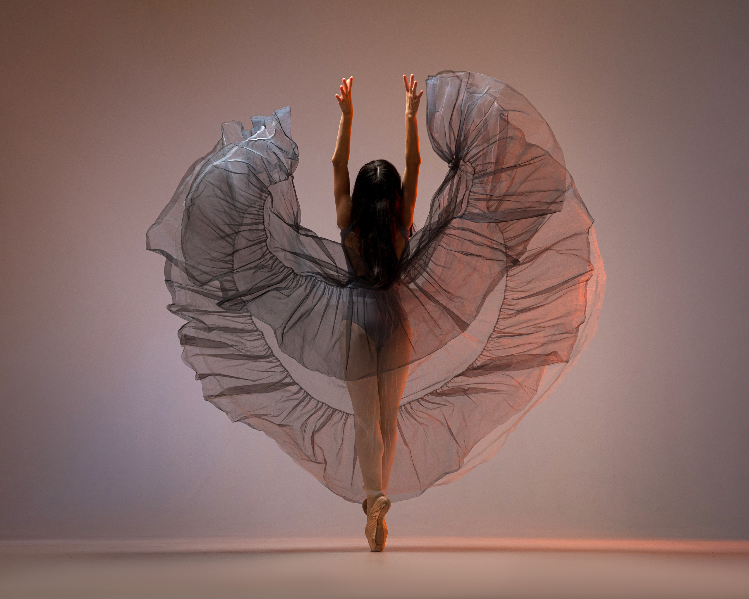 Воздушная юбка прозрачная напрокат Marine. Балетный фотограф Алина Ханько — Душа Балета