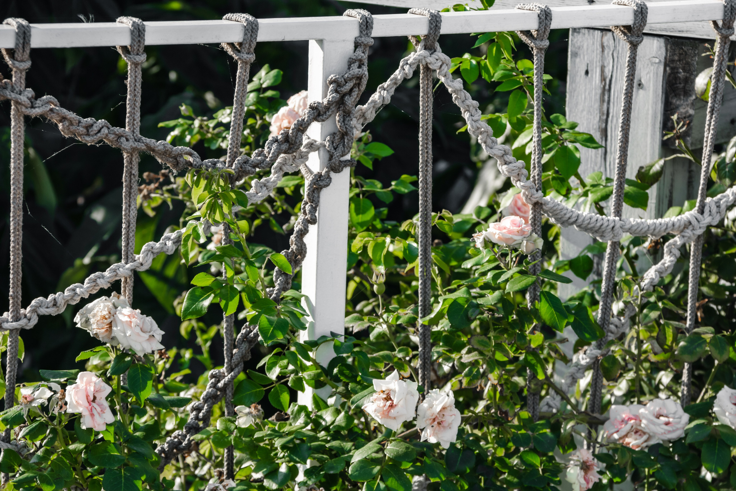 Дария Галямова — фотограф: открытый, творческий, коммерческий