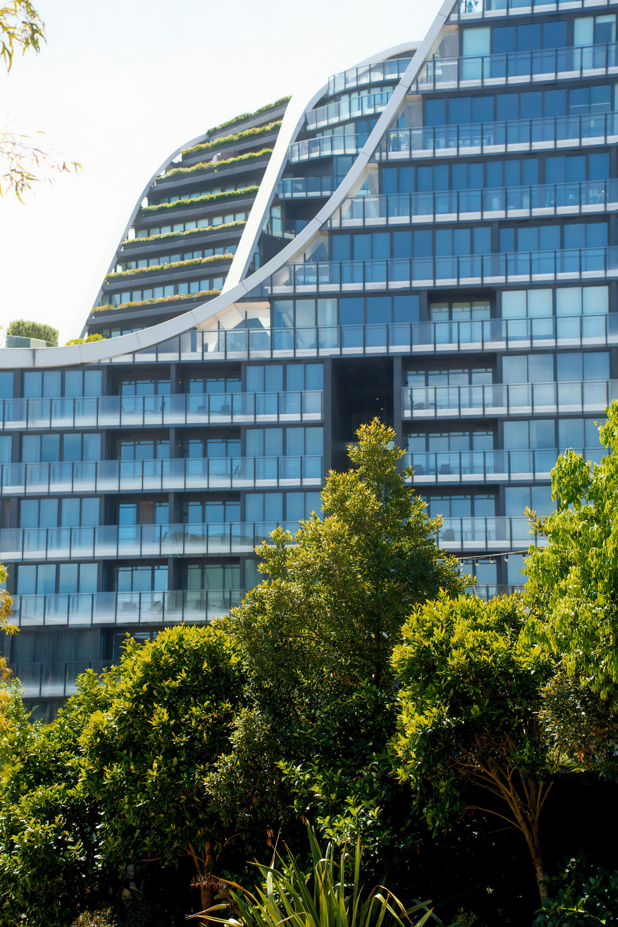 Австралия. Фотограф в Хабаровске. Фотография за 24 часа