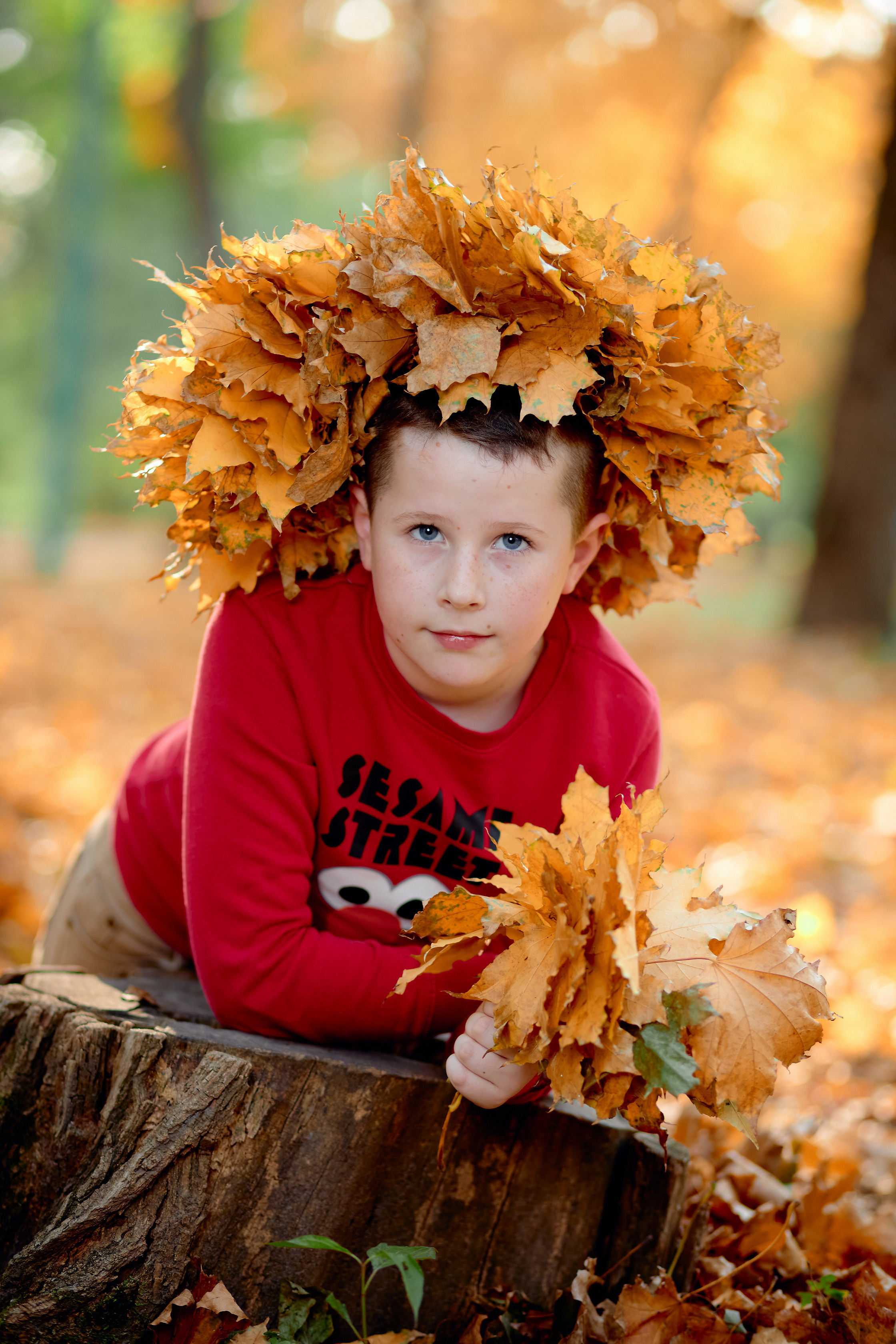 Сьемка выпускного альбома осенью таганрог. Фотограф Выпускные альбомы Таганрог Сергей Коробченко