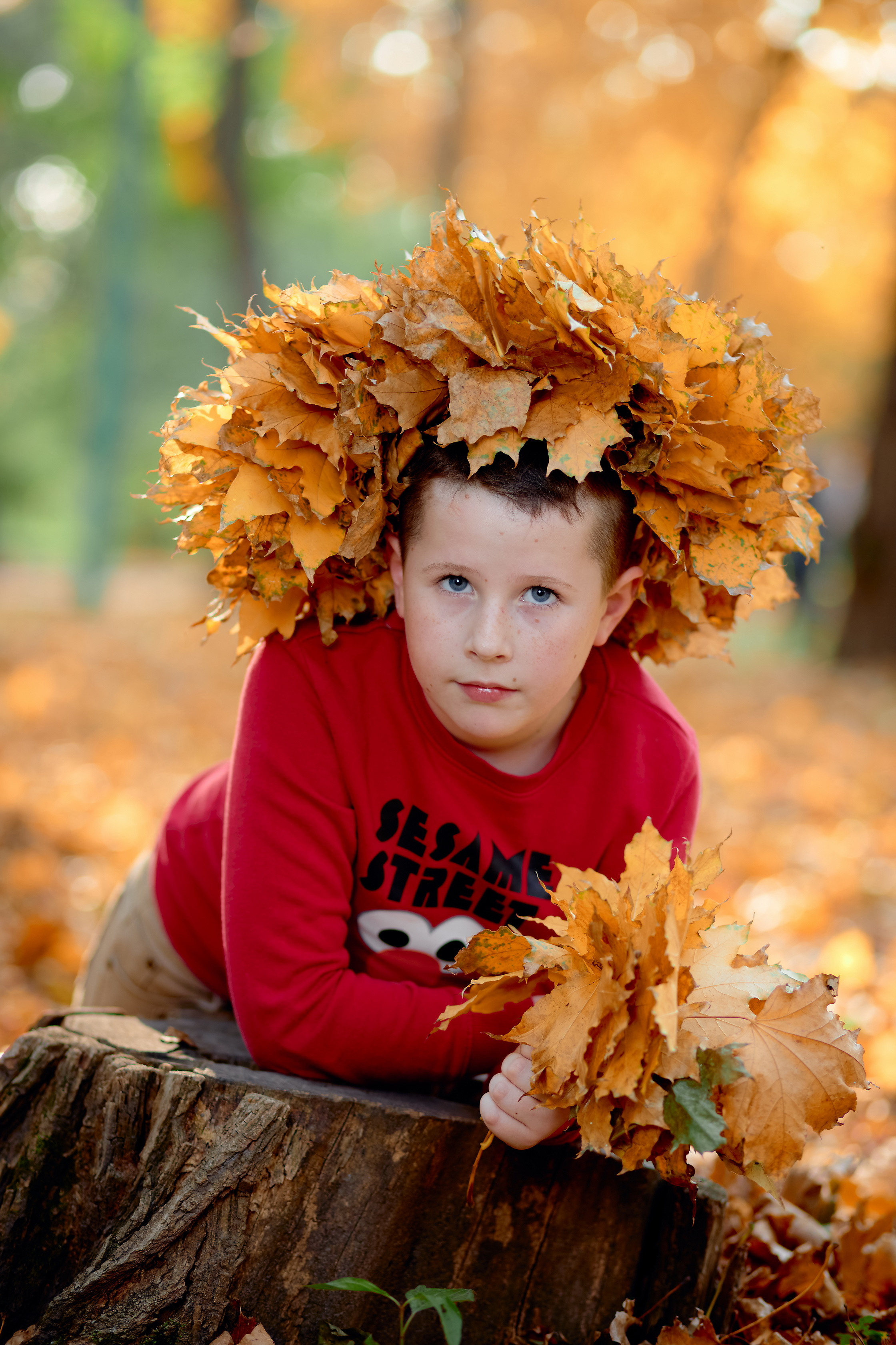 Сьемка выпускного альбома осенью таганрог. Фотограф Выпускные альбомы Таганрог Сергей Коробченко
