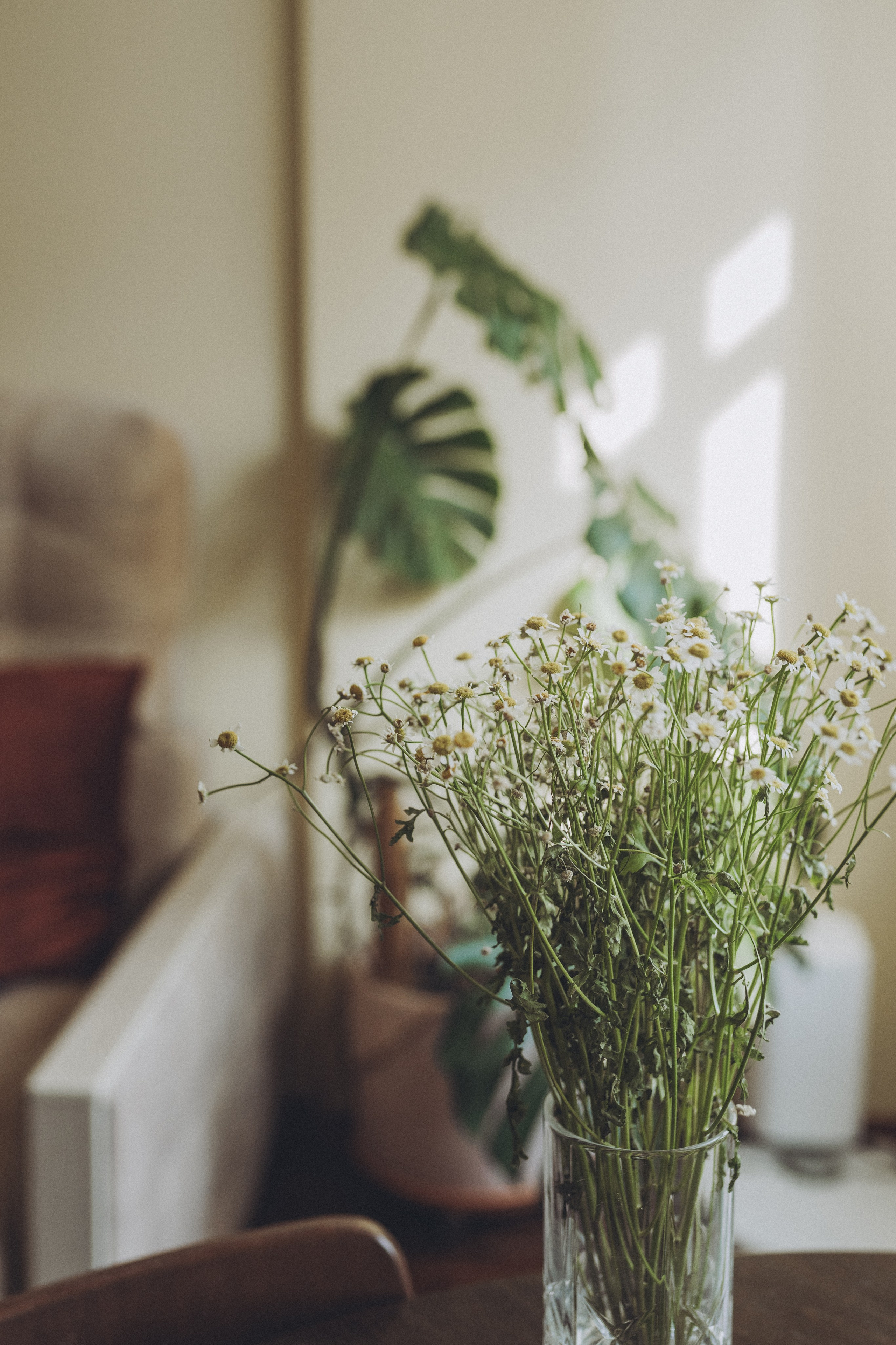 Мише 1 месяц. Семейный и контент фотограф в Москве и Троицке Горелова Лизавета