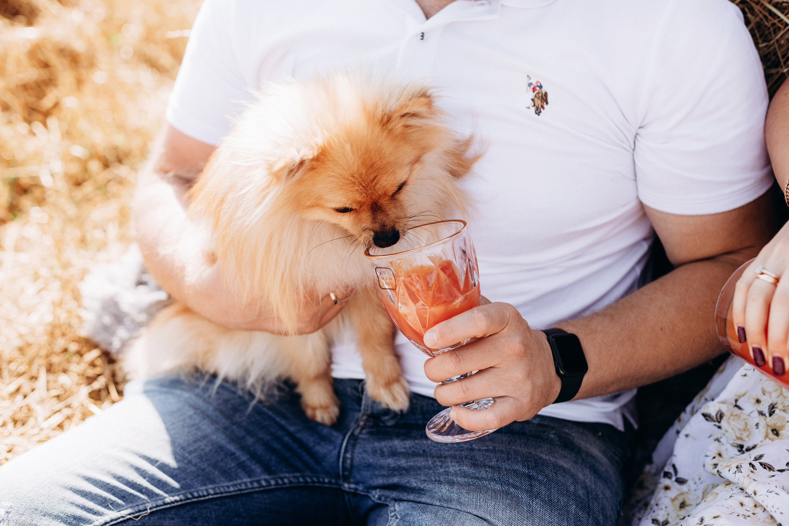 Регина и александр. Фотограф Карина Дмитриева