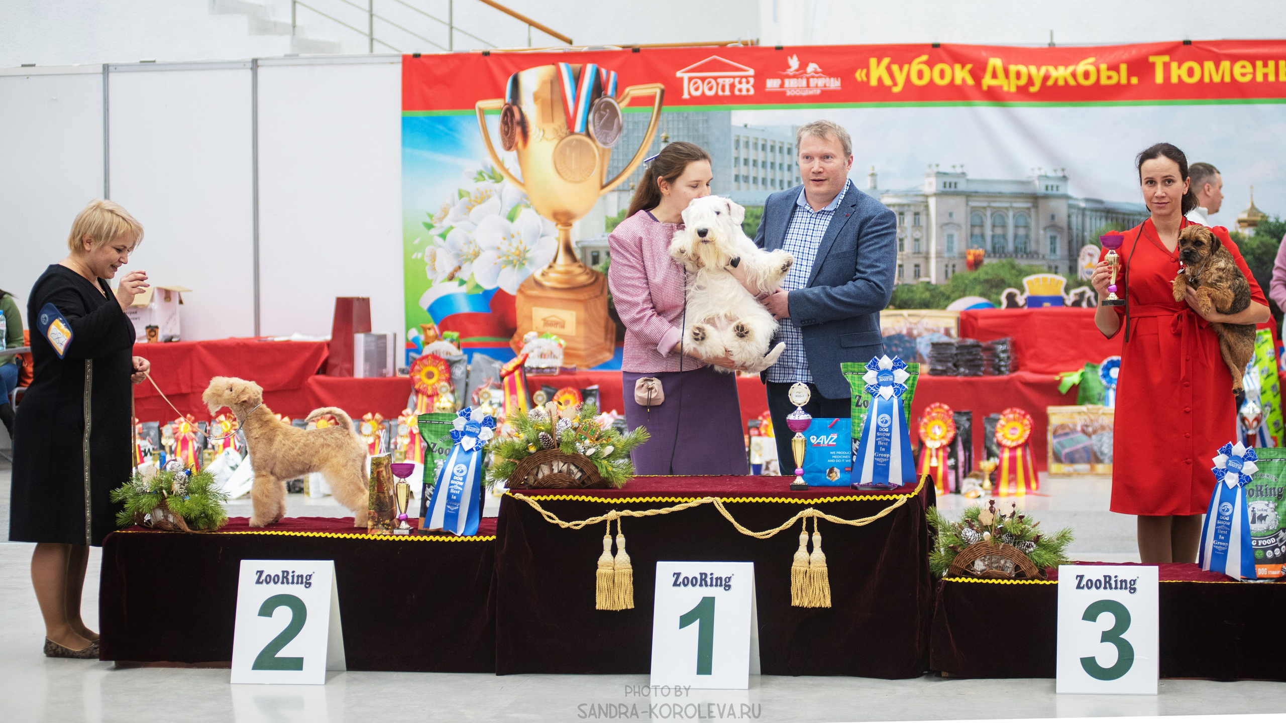 Выставка собак тюмень 14.01.2023. Дог-фотограф в Тюмени Александра Королева
