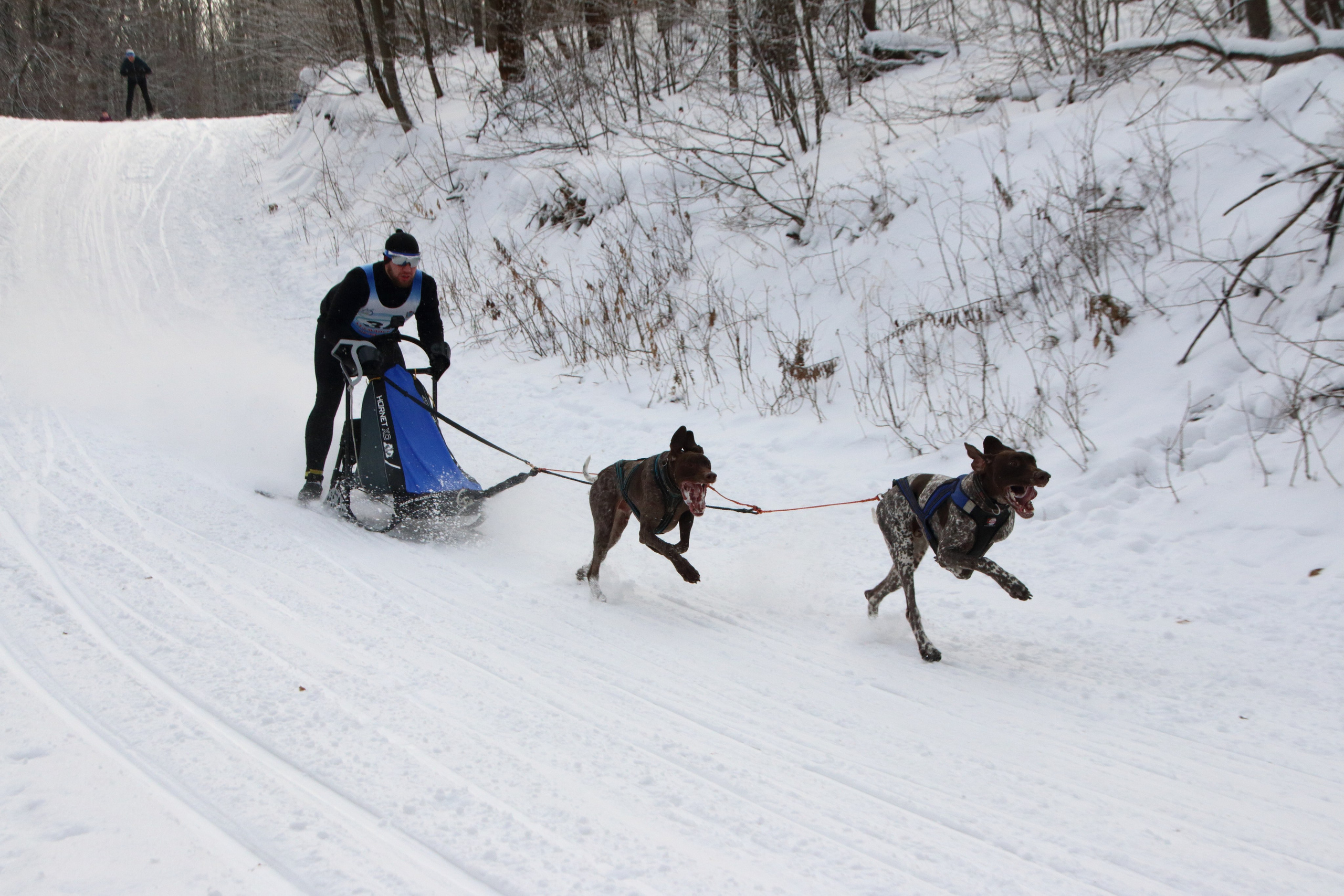 06.01.2020 Рождественские гонки на собаках. Фотообъединение Самарского областного отделения Союза журналистов России