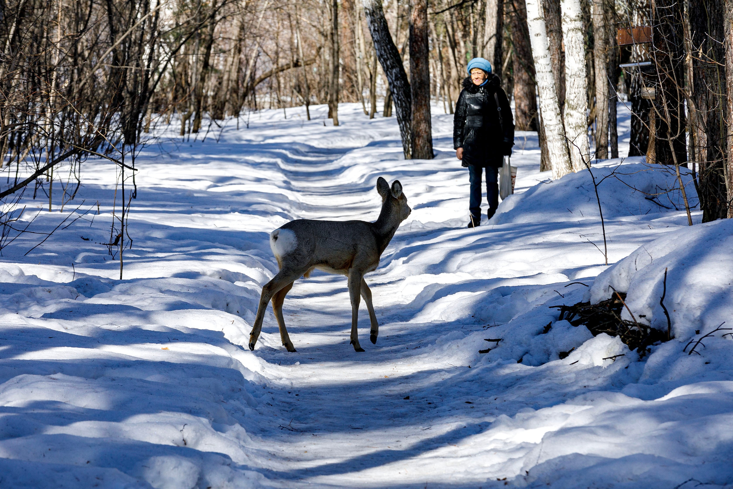 Уютный город мой. Фотограф Андрей Гузеев
