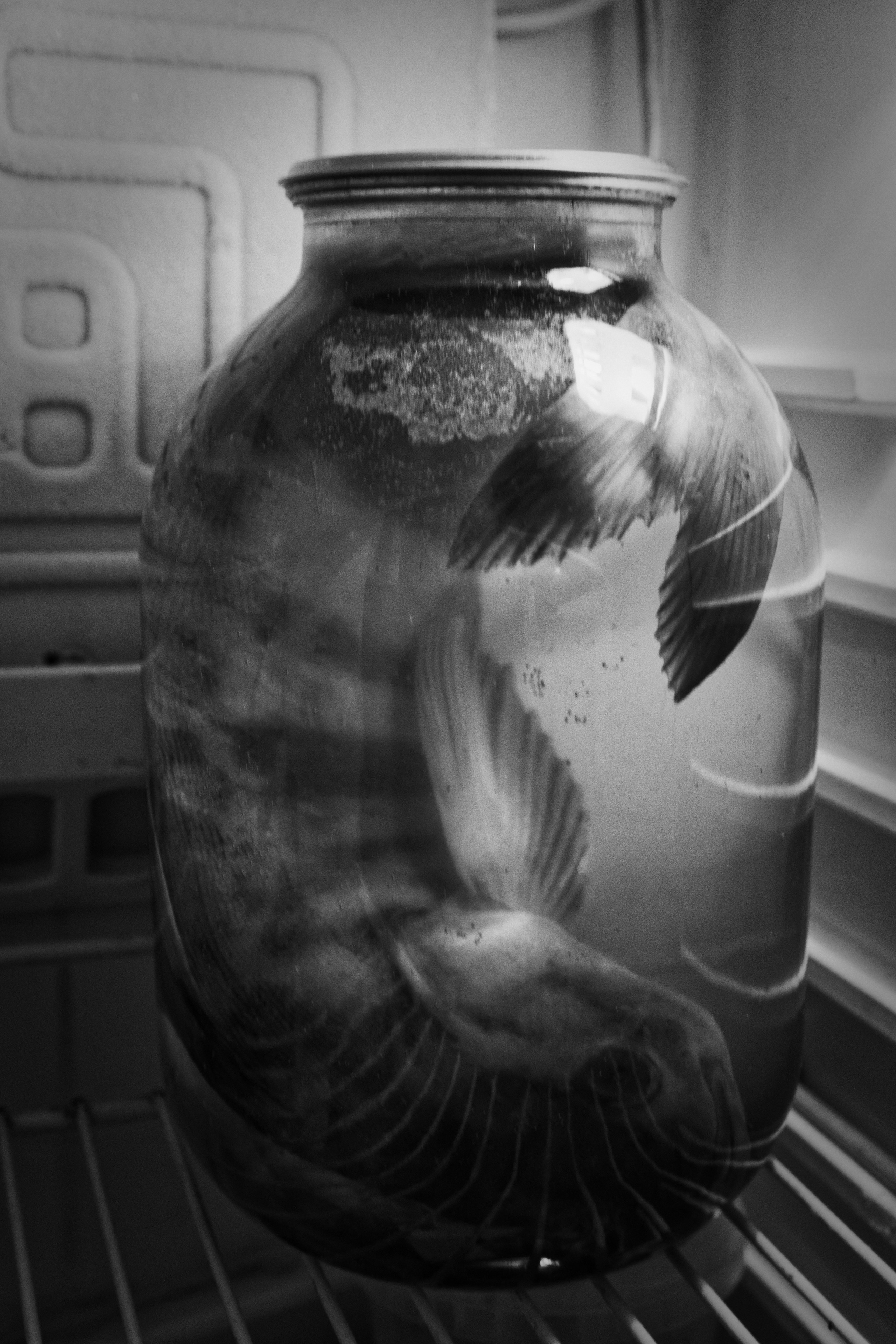 Bardo. Роман Ходырев — художник, фотограф, музыкант, эзотериолог. Санкт-Петербург, Рига