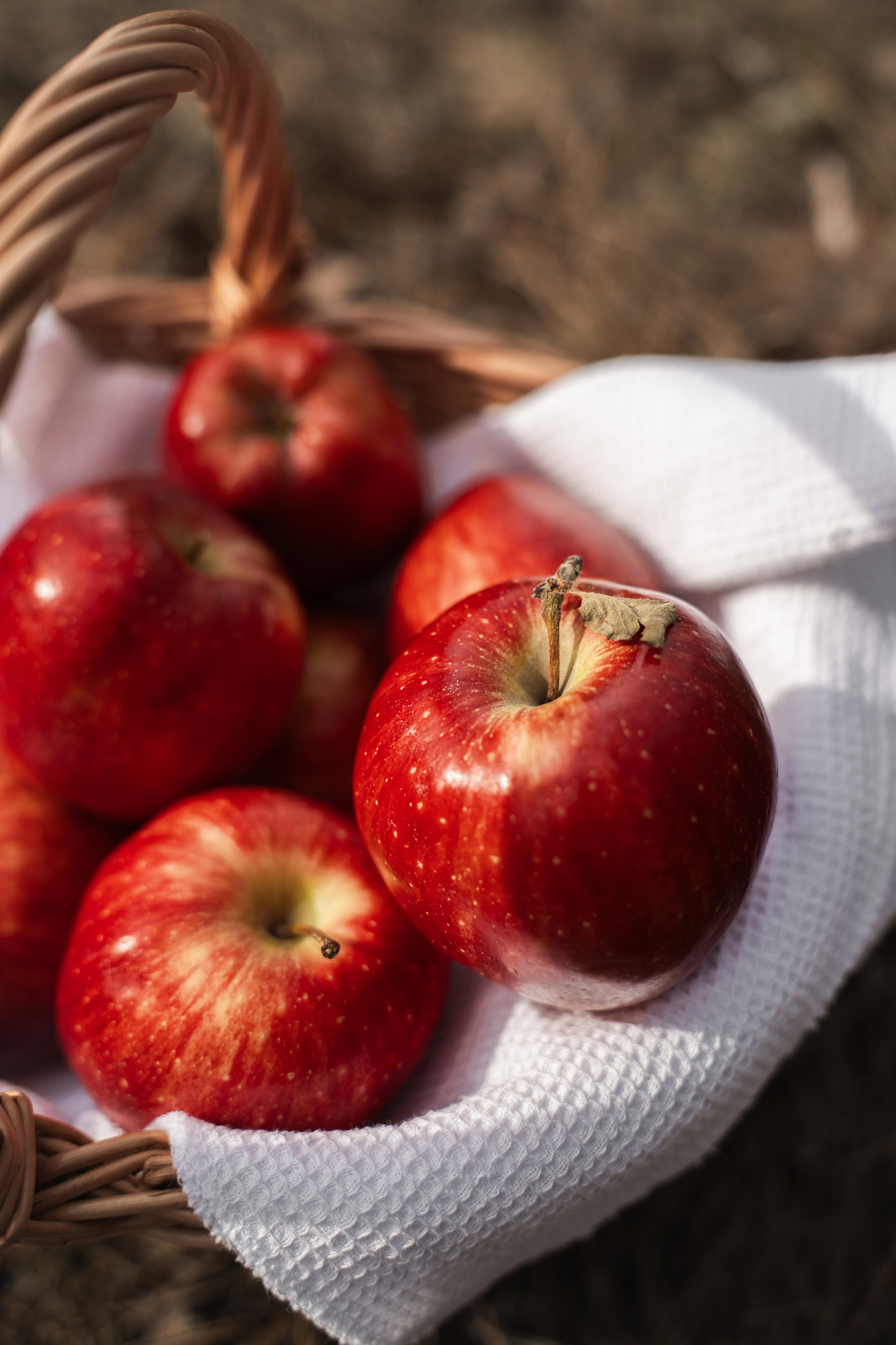 Ева «Красная Шапочка». Фотограф Севастополь — Климова Анастасия