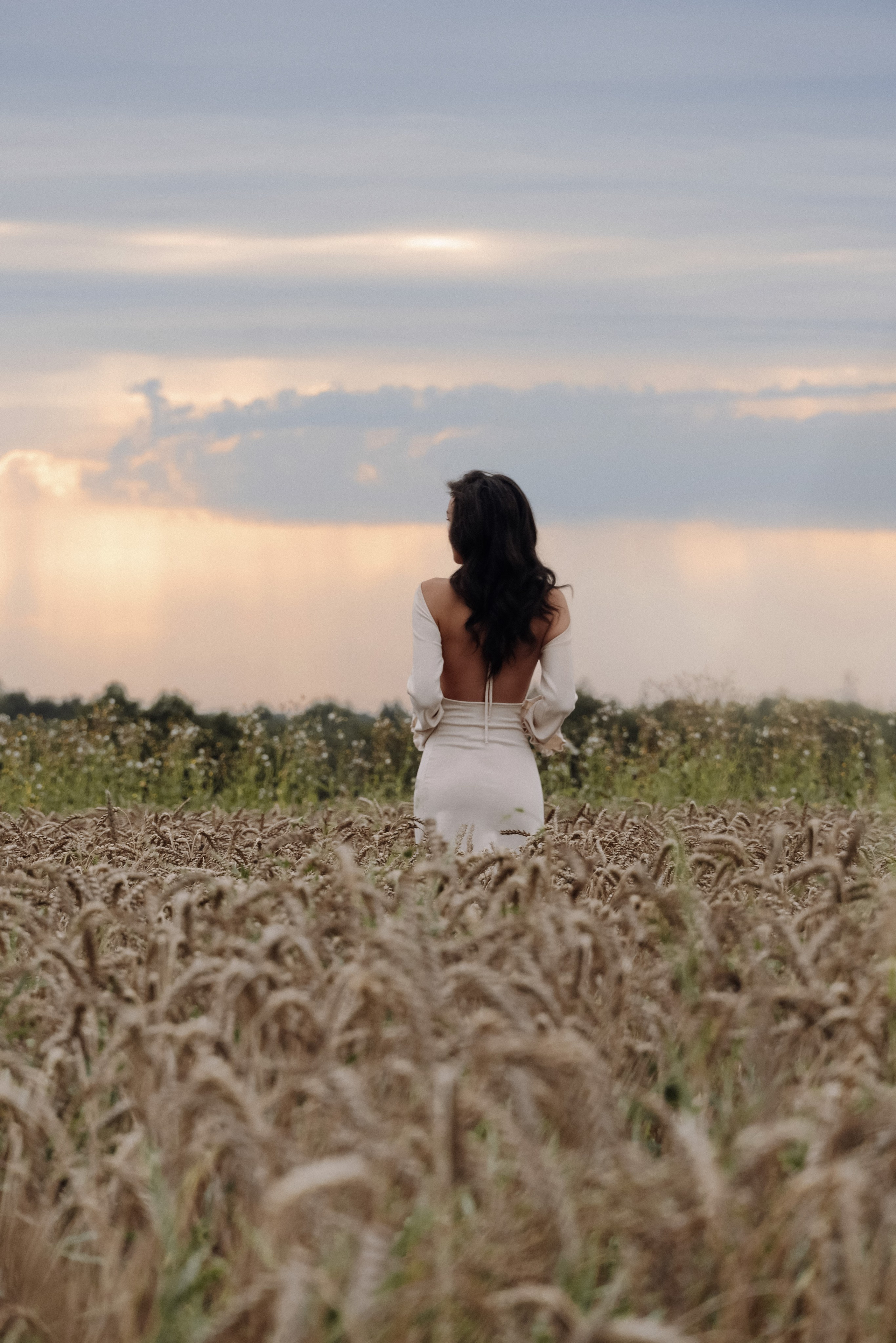 фотосессия с колосьями 