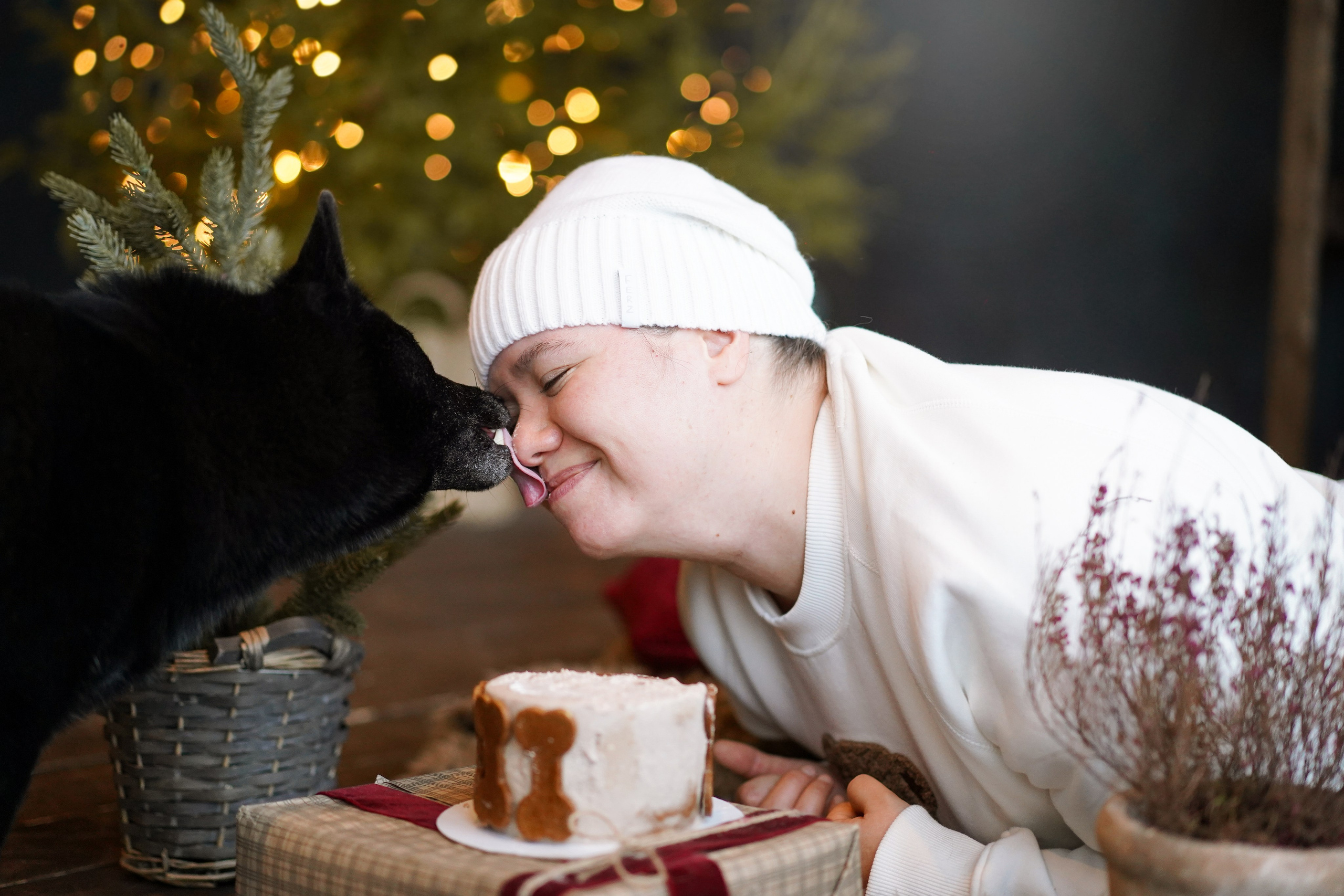 Аня и Арчи. Фотограф-анималист в Санкт-Петербурге Яна Мартынова