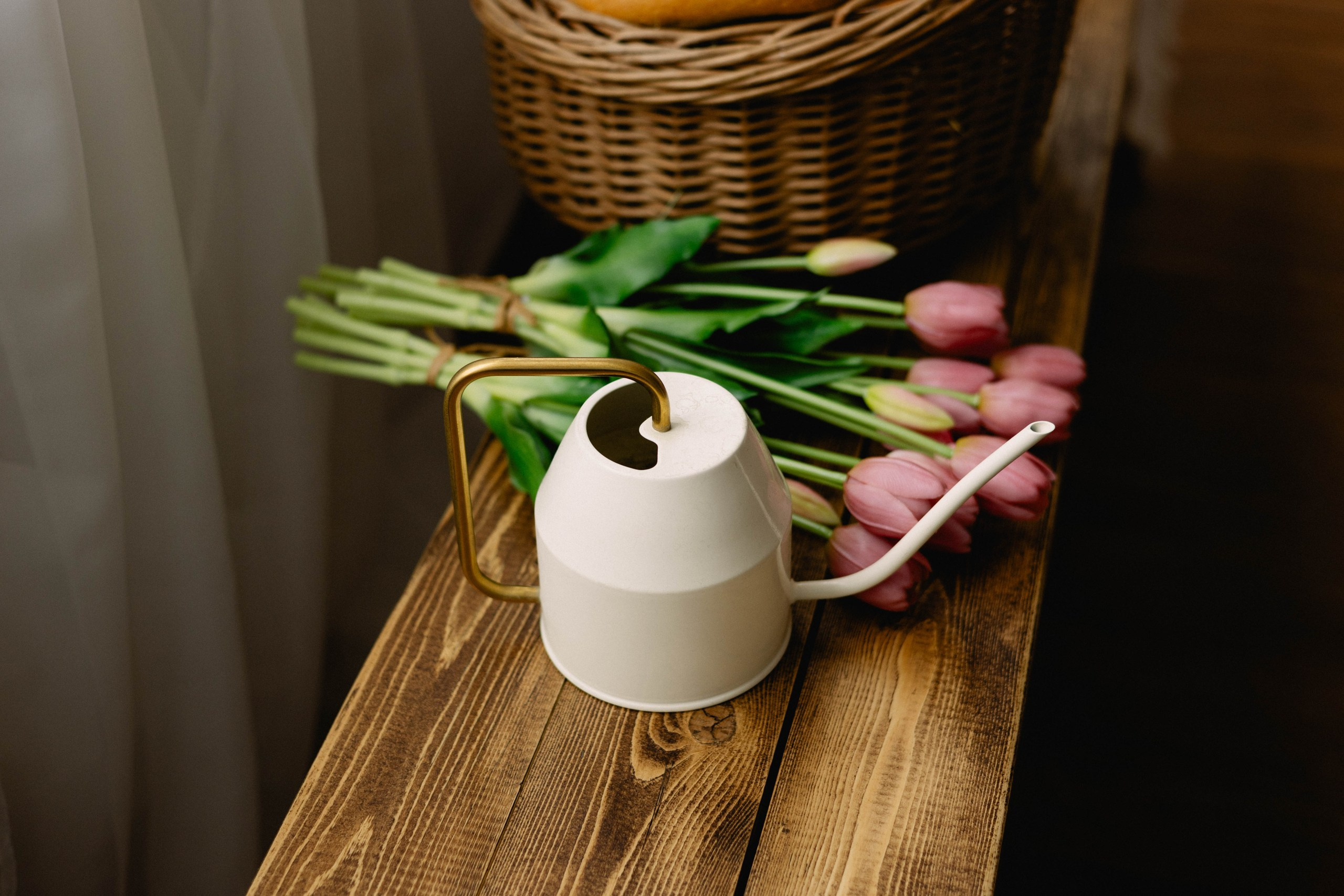 Елизавета. Фотограф Абронина Любовь | Москва