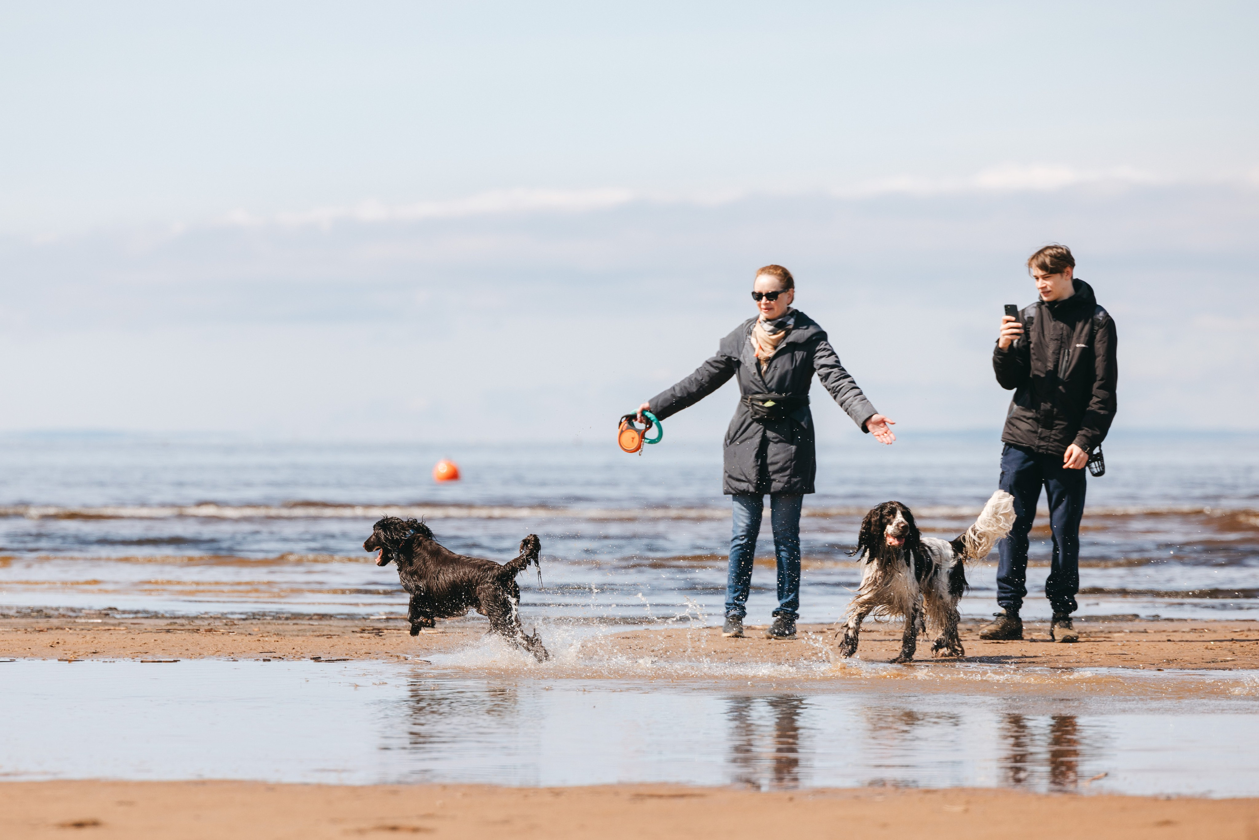 Спанимания. Фотограф анималист Осипчикова Мария